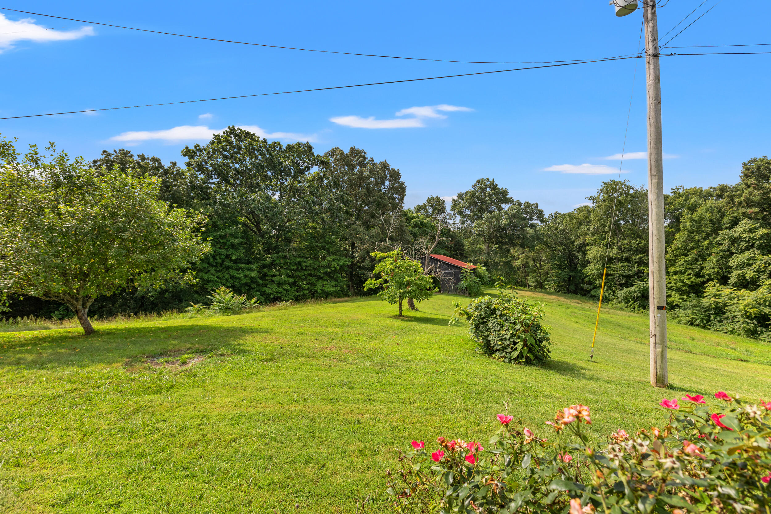 40 Edwards Road Property Photo 22