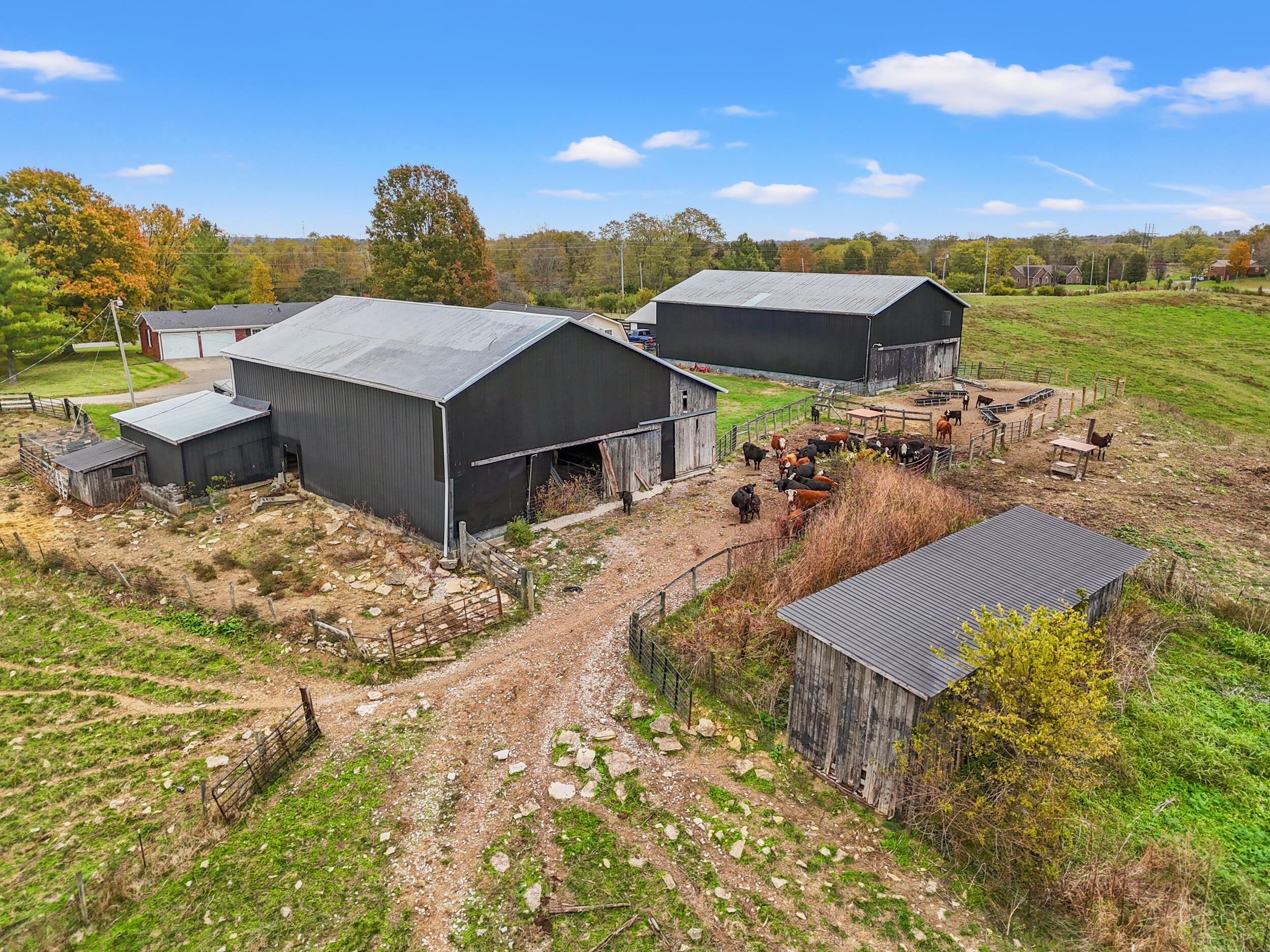3049 Ironworks Road Property Photo 96