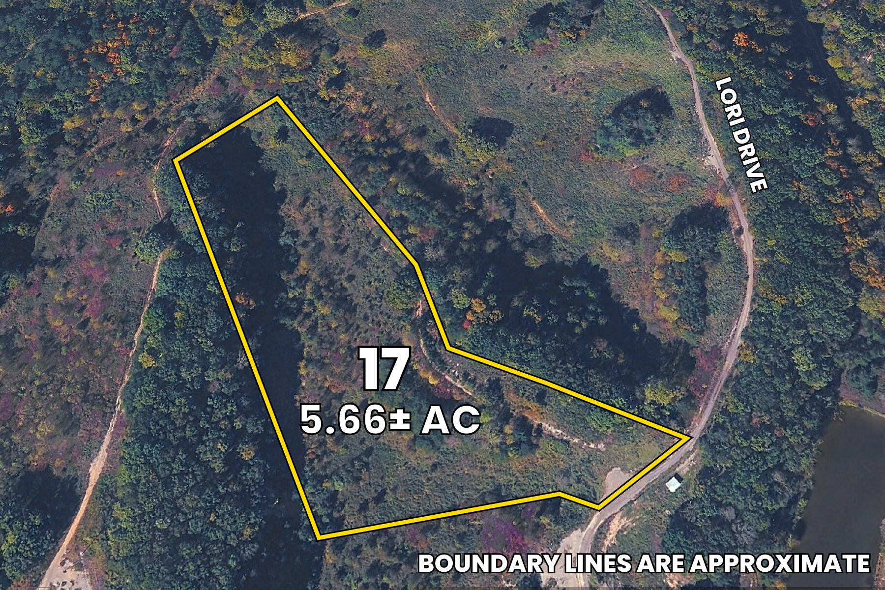 17 Lori Drive Property Photo 1