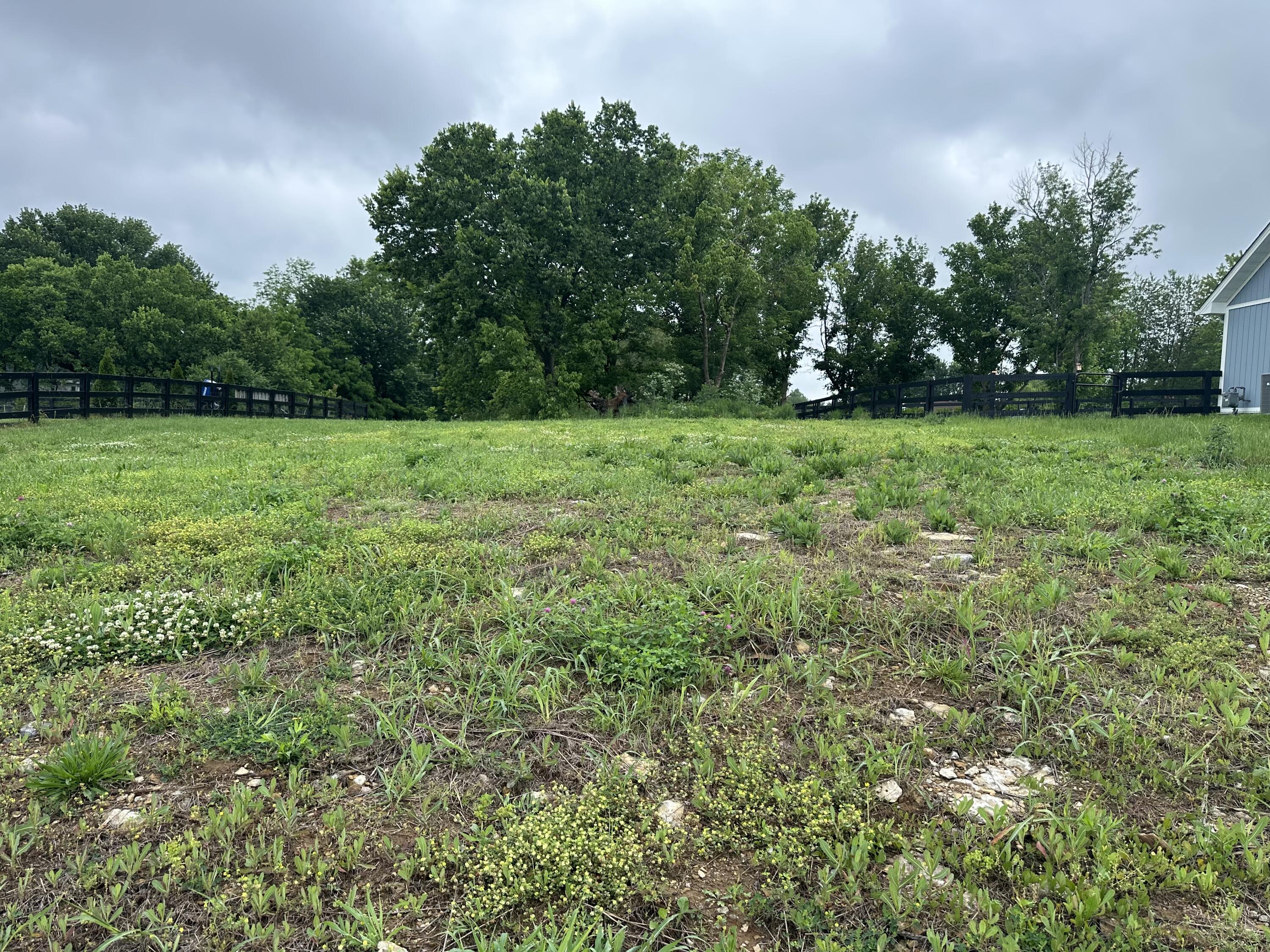 275 Northside Drive Property Photo 1