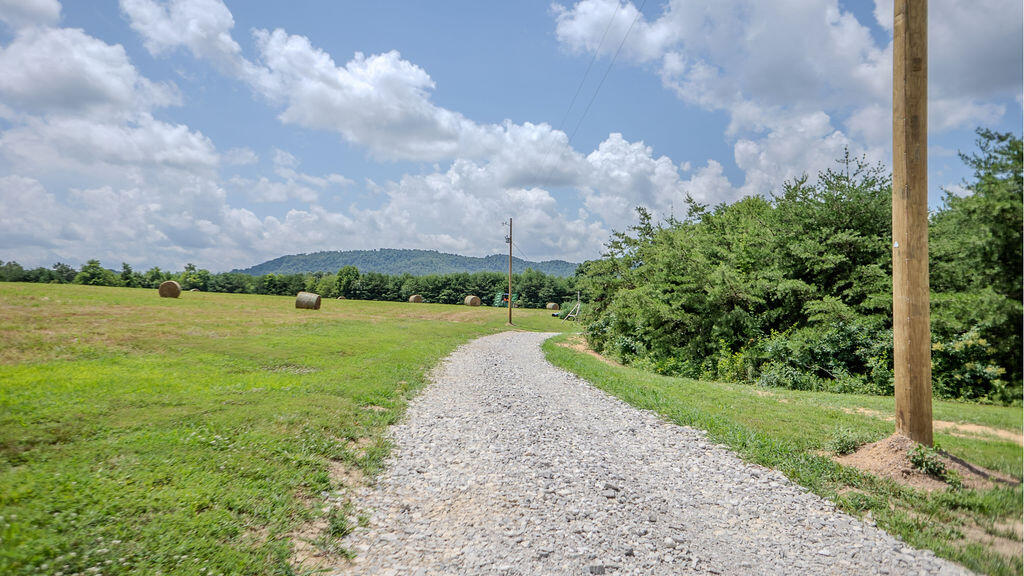 541 Rosemont Road Property Photo 11