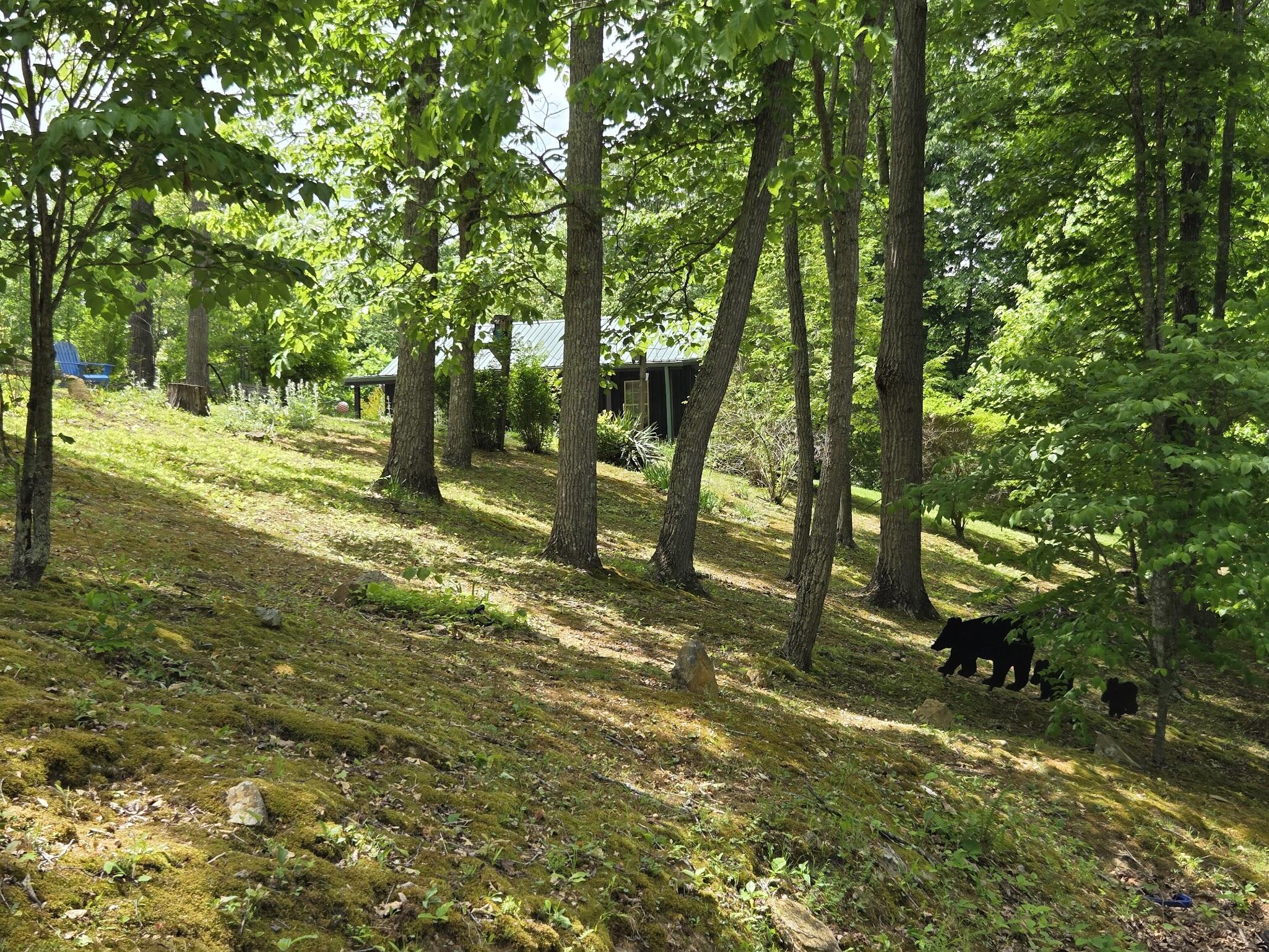 1435 Pilot Road Property Photo 43