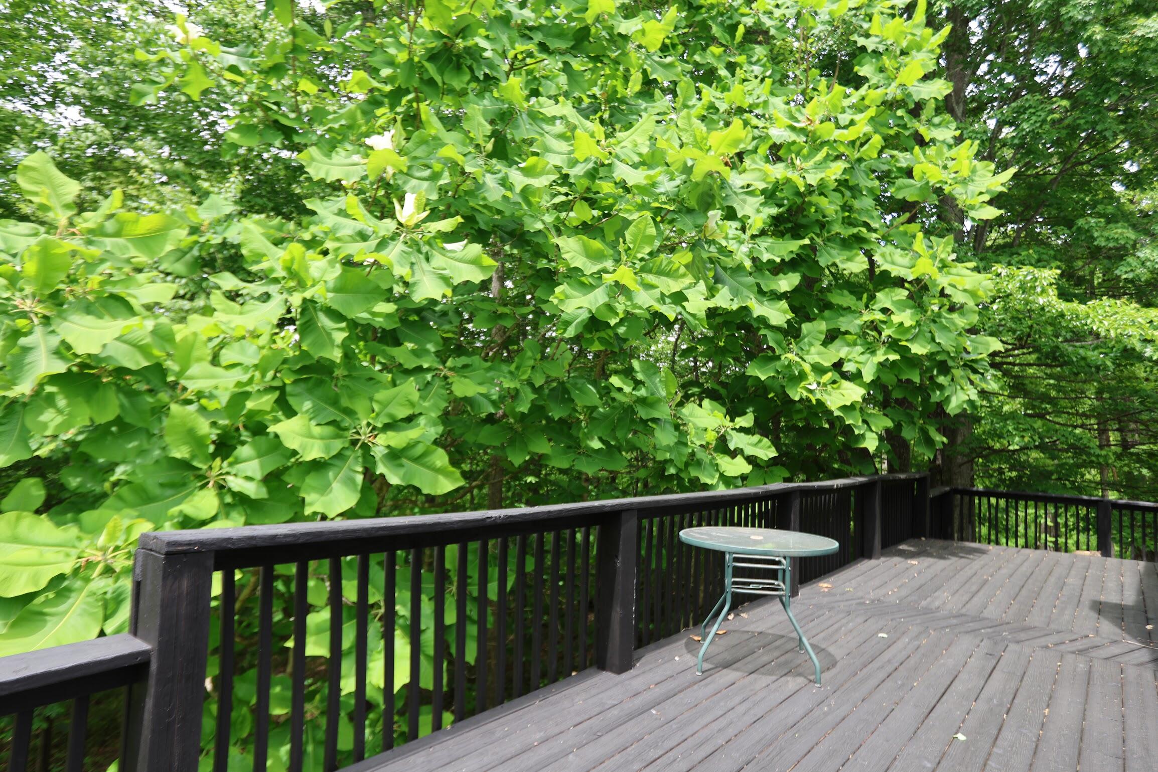 1435 Pilot Road Property Photo 59