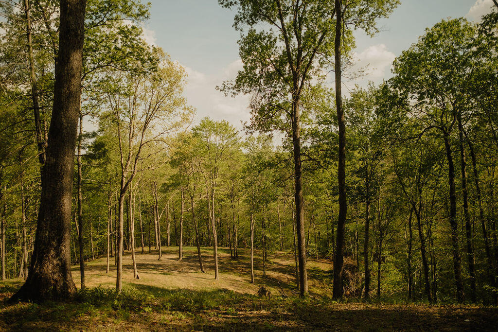 1124 State Hwy 844 Property Photo 5