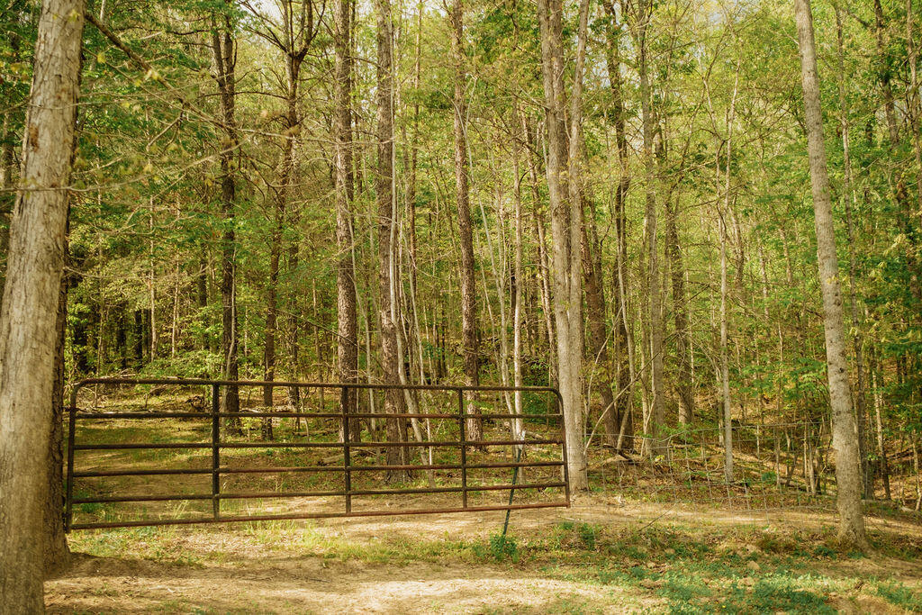 1124 State Hwy 844 Property Photo 11