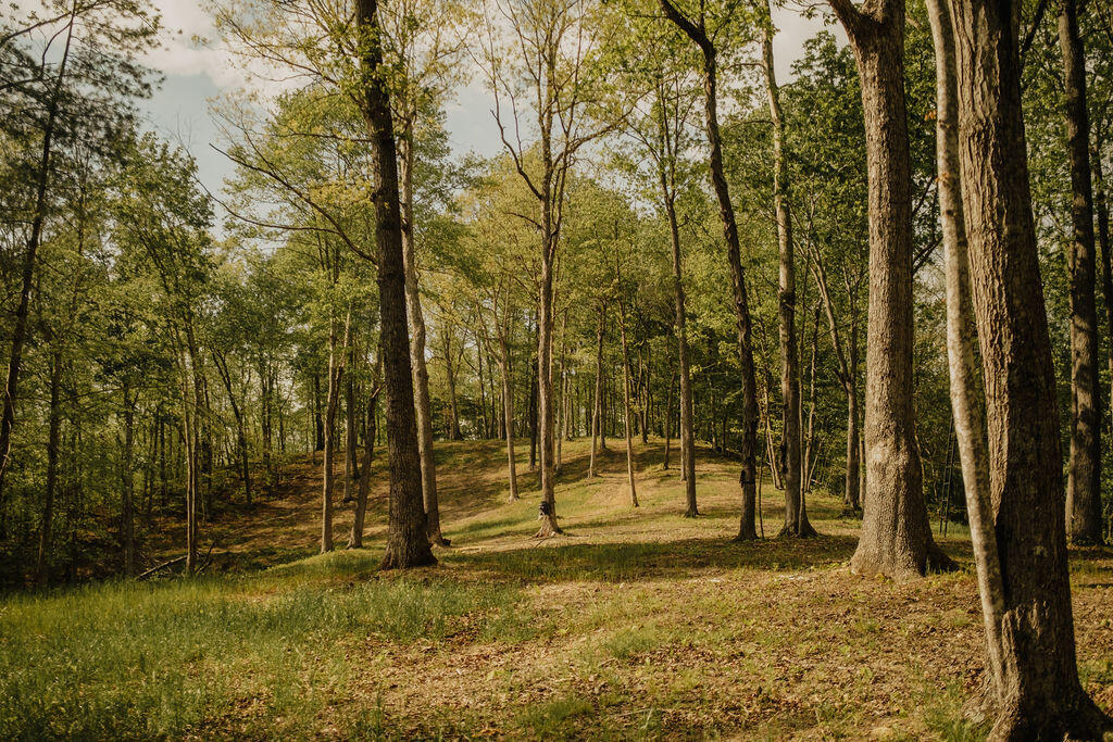 1124 State Hwy 844 Property Photo 24
