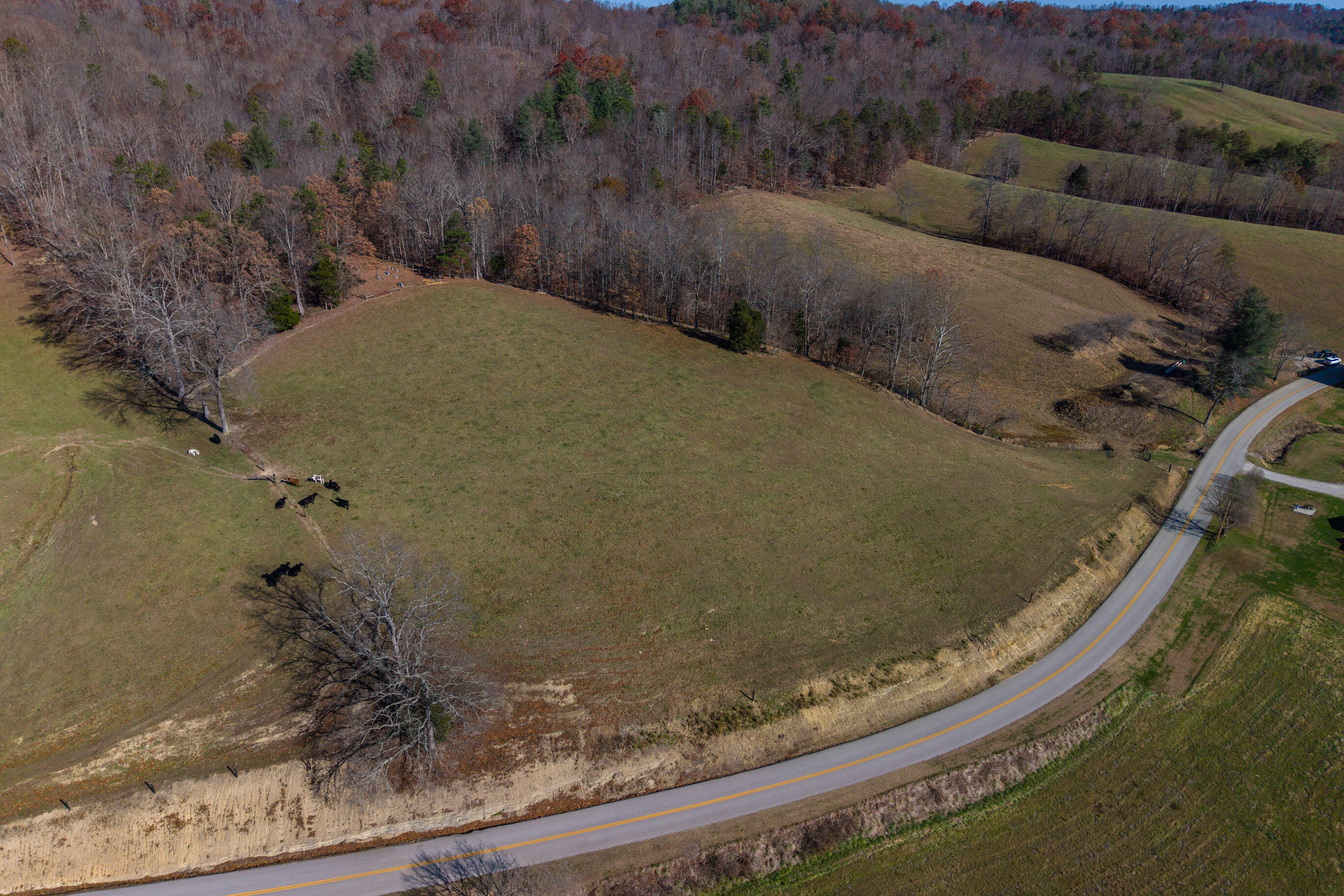 1124 State Hwy 844 Property Photo 29