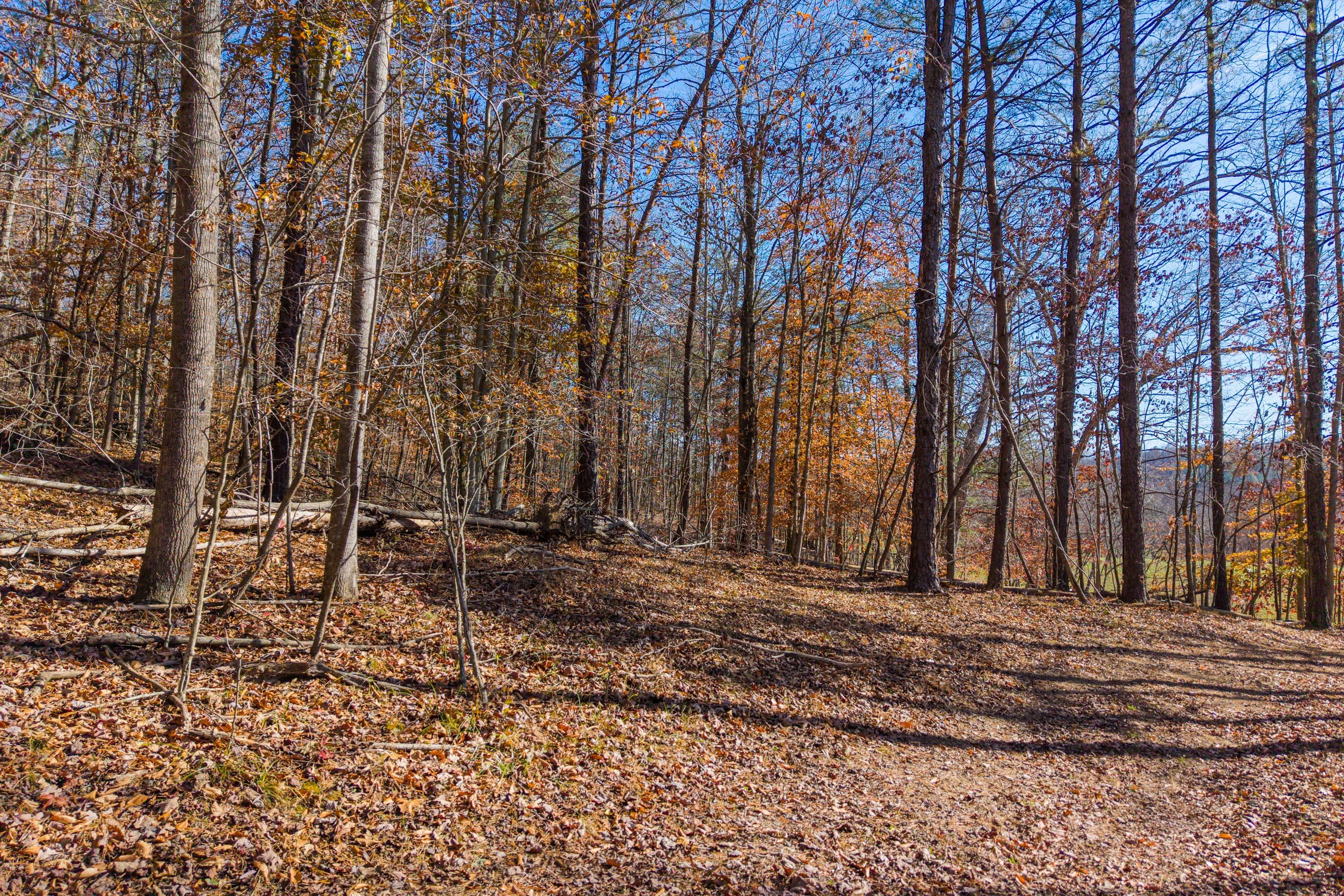 1124 State Hwy 844 Property Photo 32