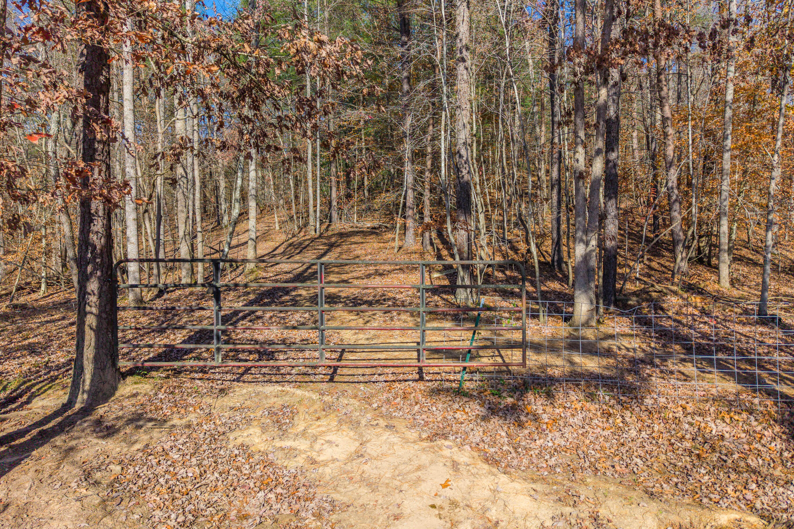1124 State Hwy 844 Property Photo 34