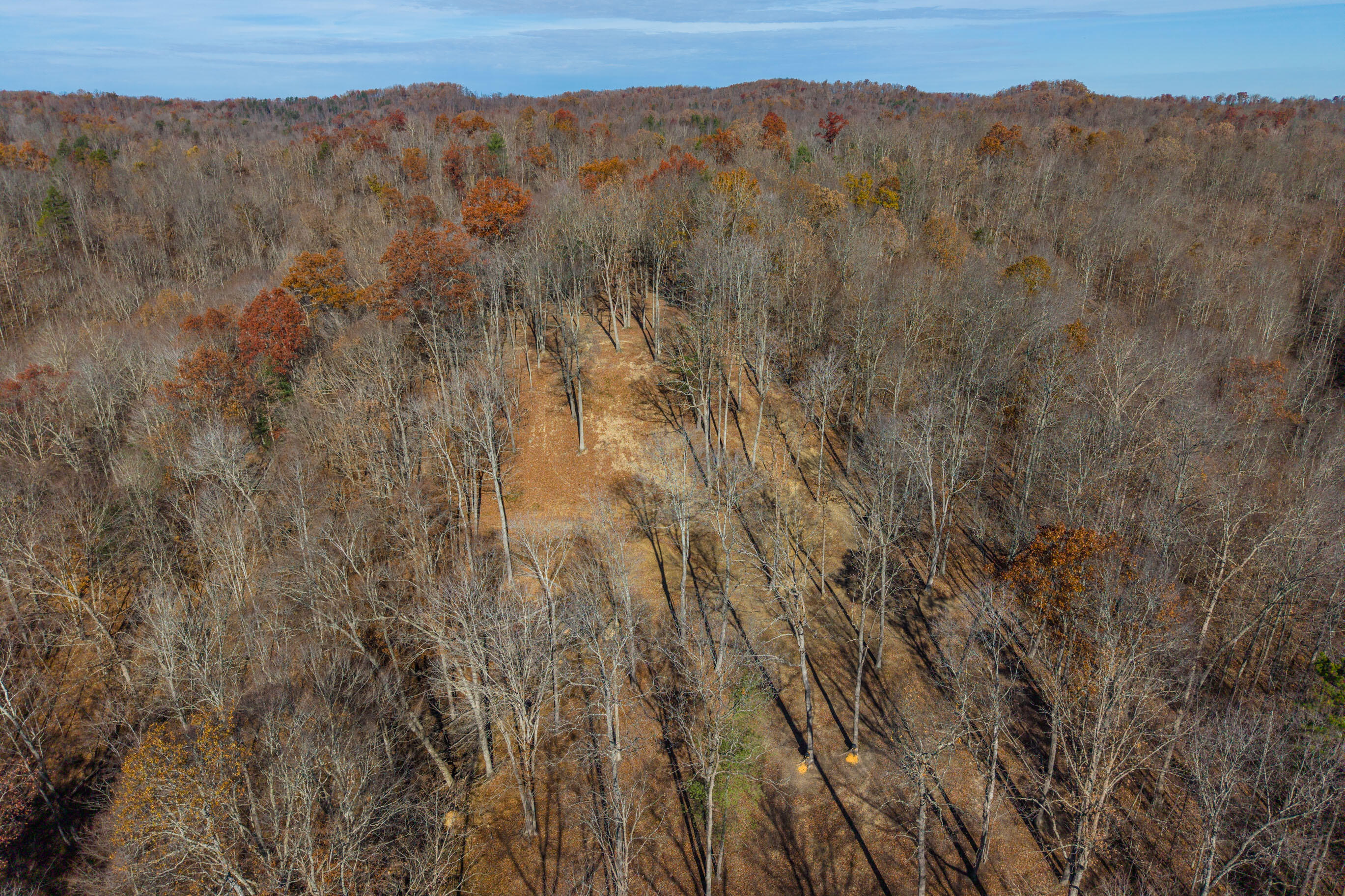 1124 State Hwy 844 Property Photo 37