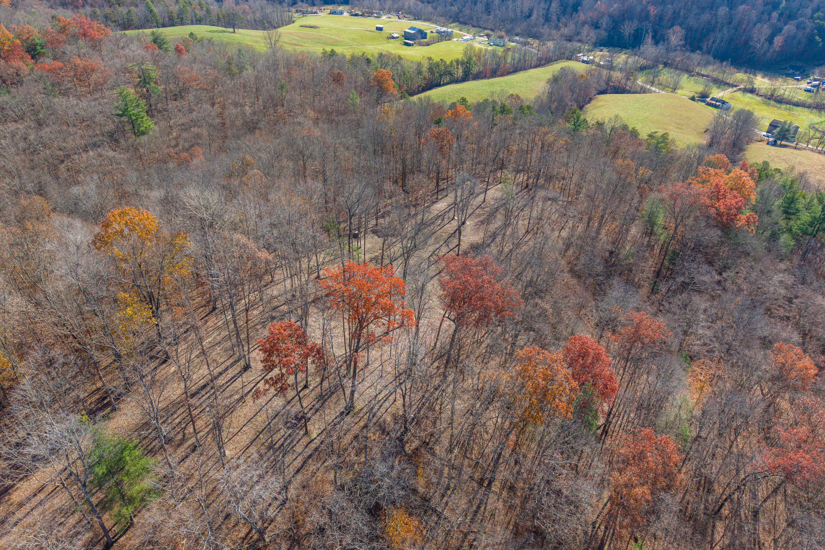 1124 State Hwy 844 Property Photo 38