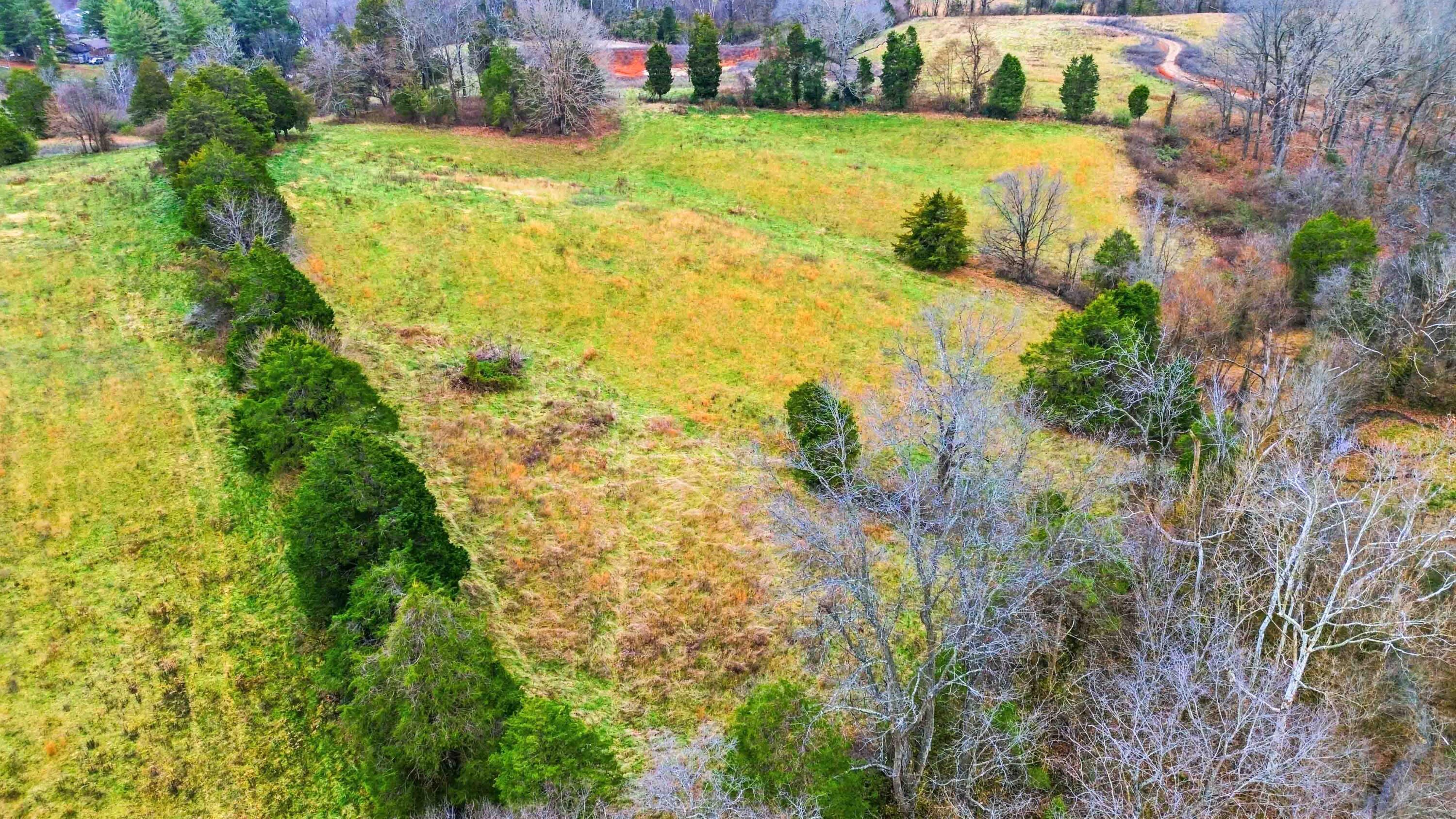 1908 Avalon Drive Property Photo 1
