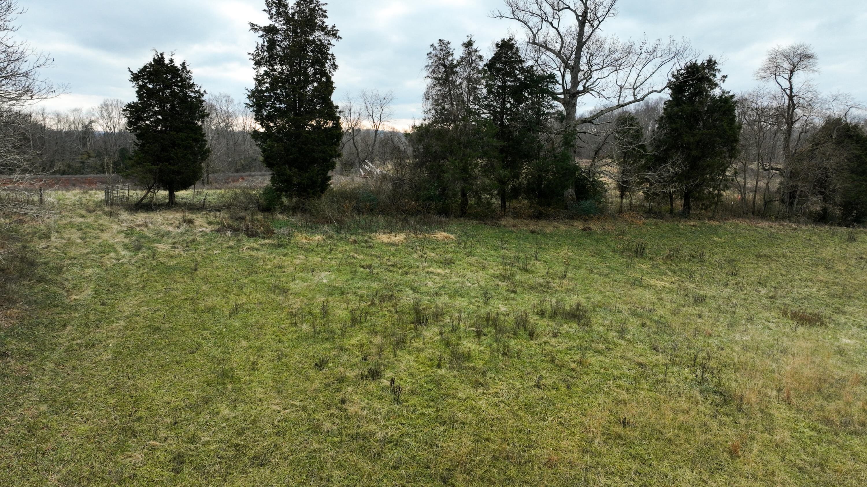 1908 Avalon Drive Property Photo 23