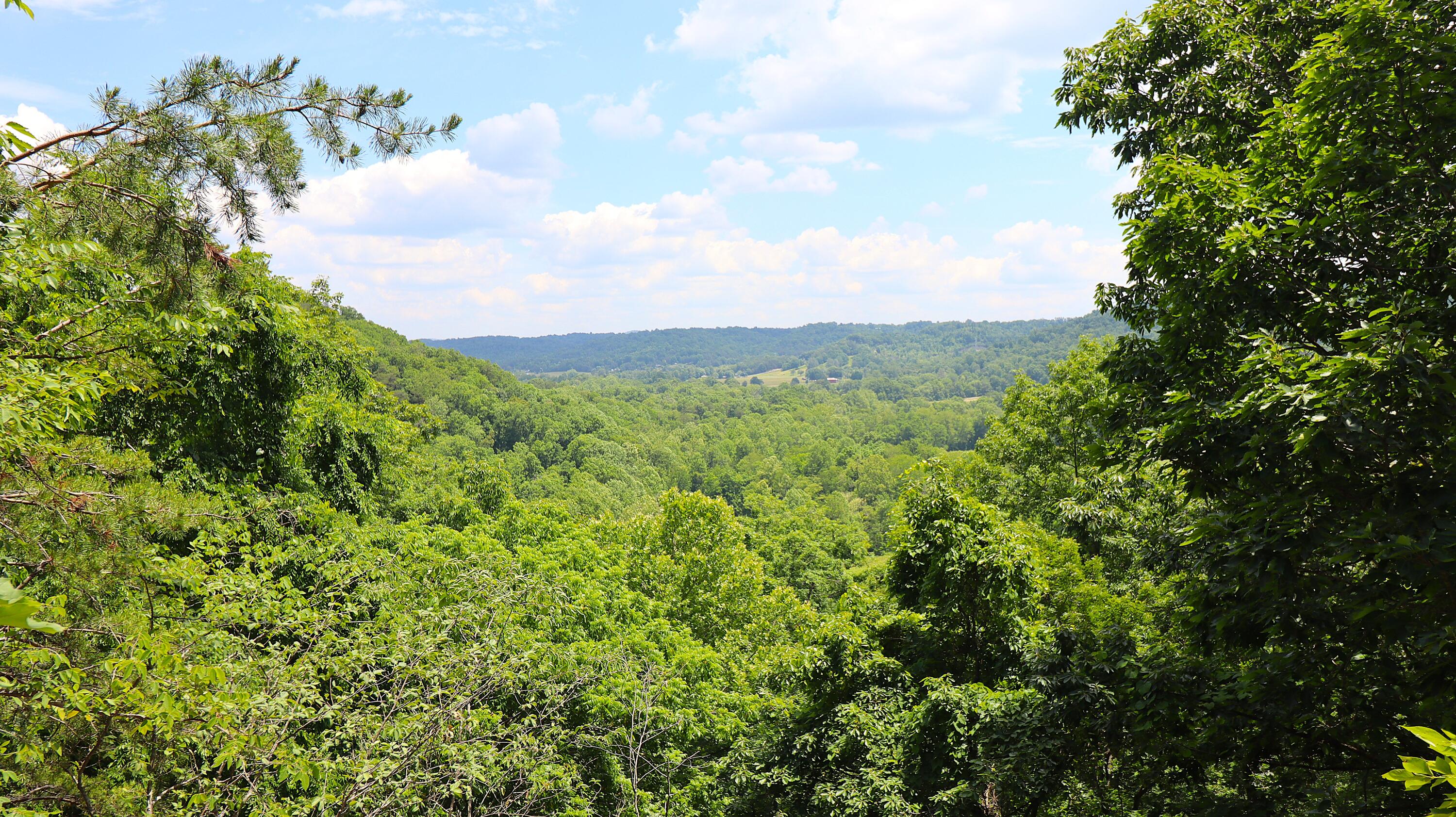 4065 Copper Creek Road Property Photo 25