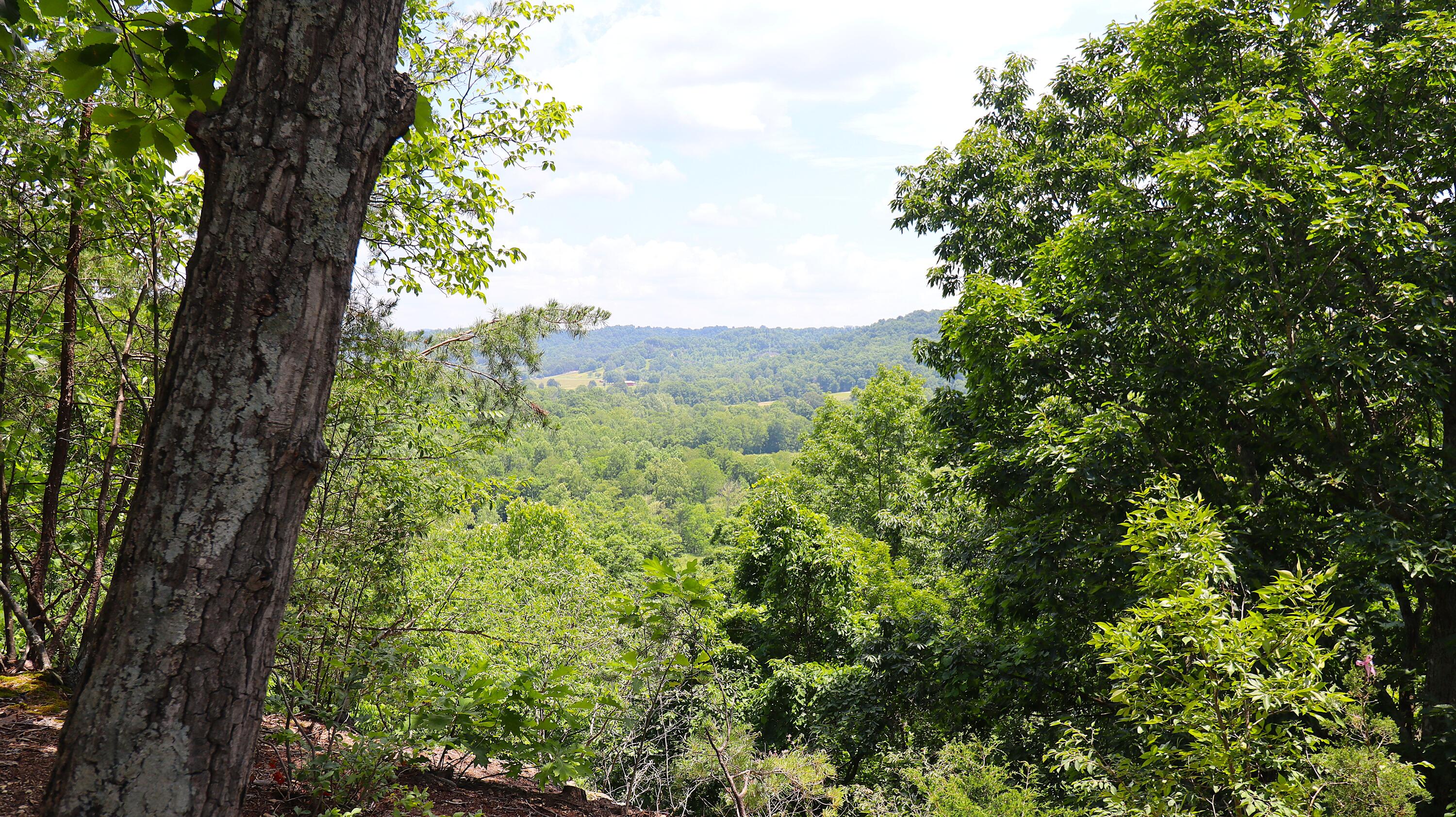 4065 Copper Creek Road Property Photo 27