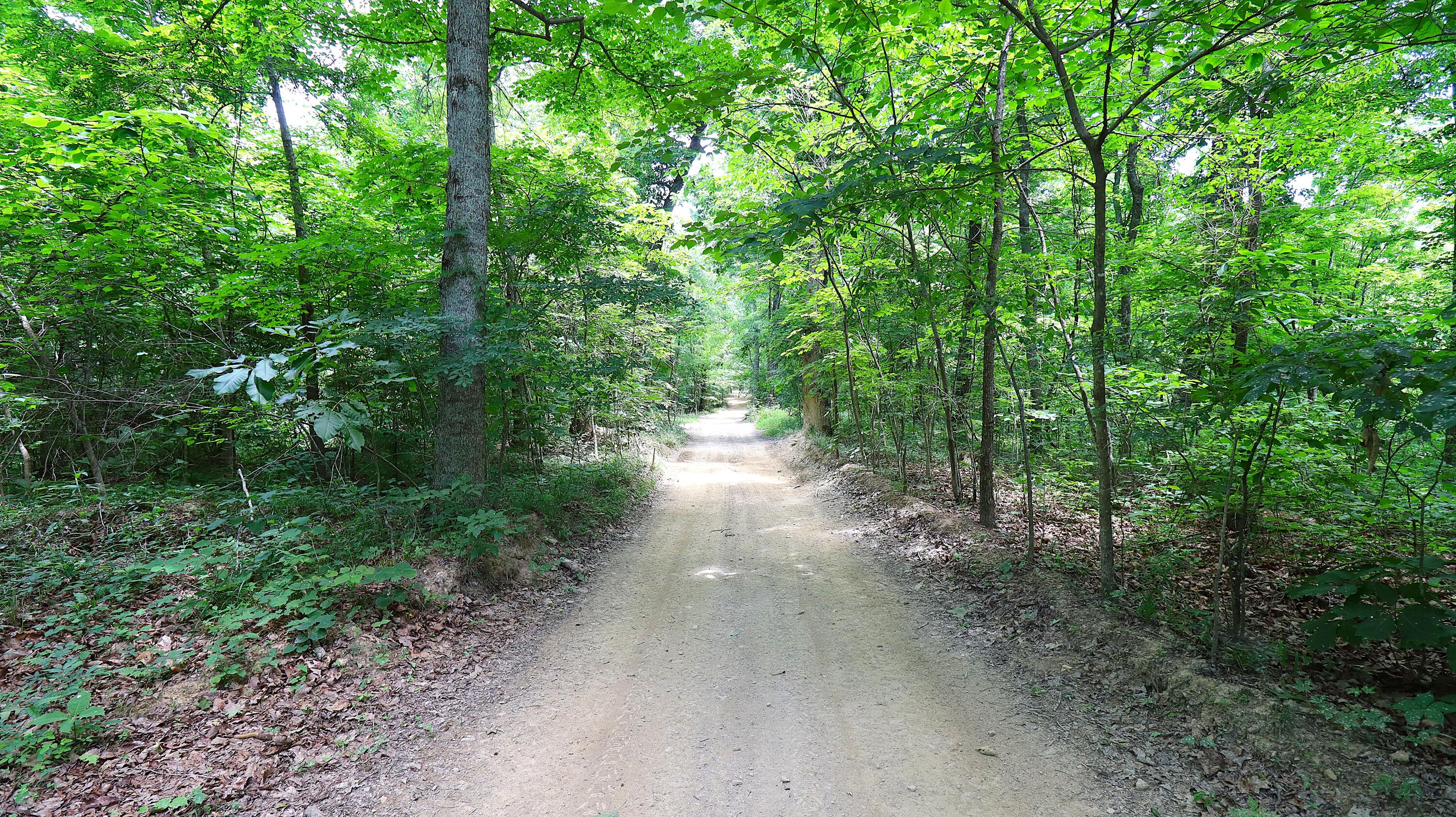 4065 Copper Creek Road Property Photo 28