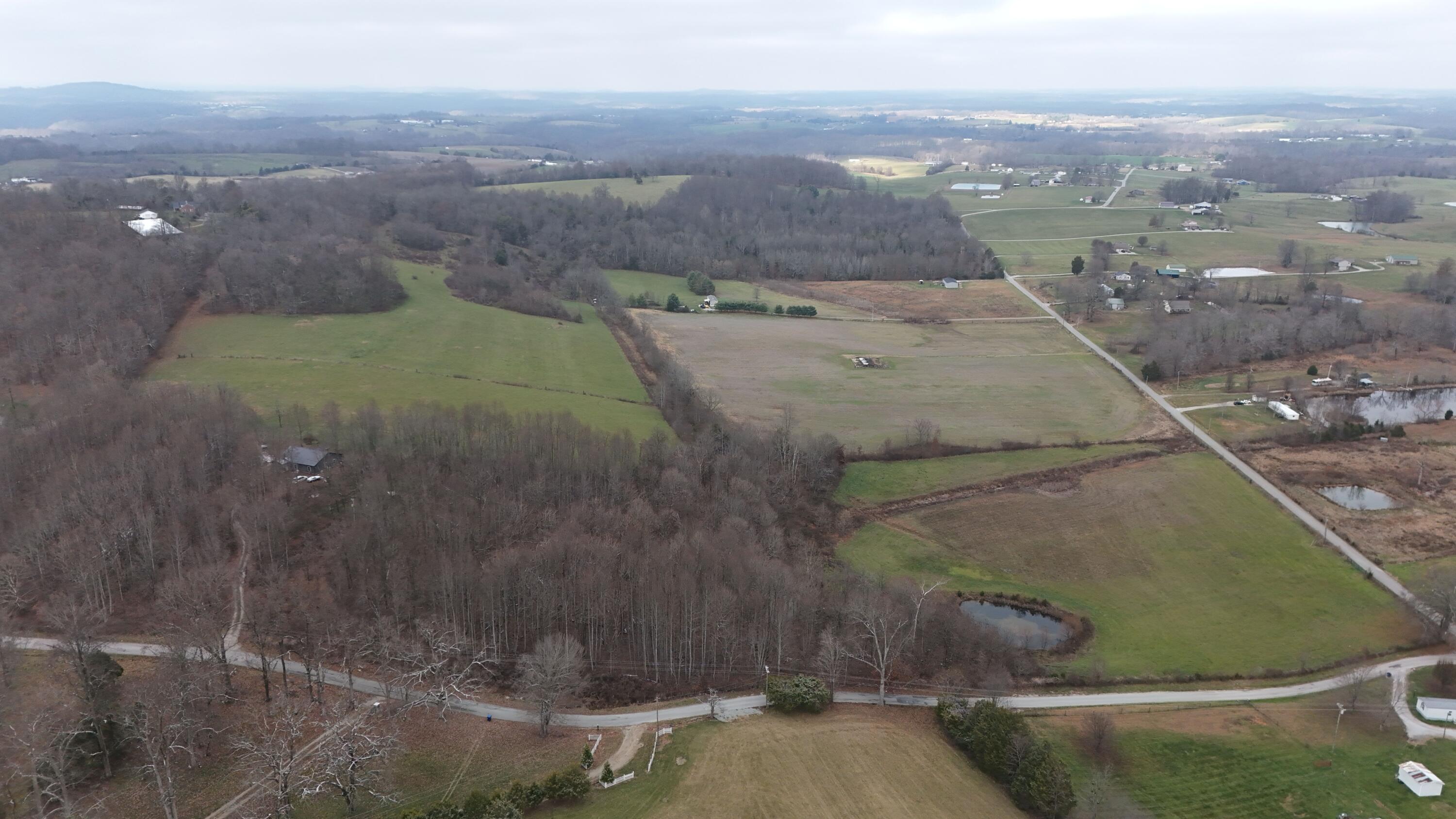0009 Puncheon Creek Road Tract 9 Property Photo 5