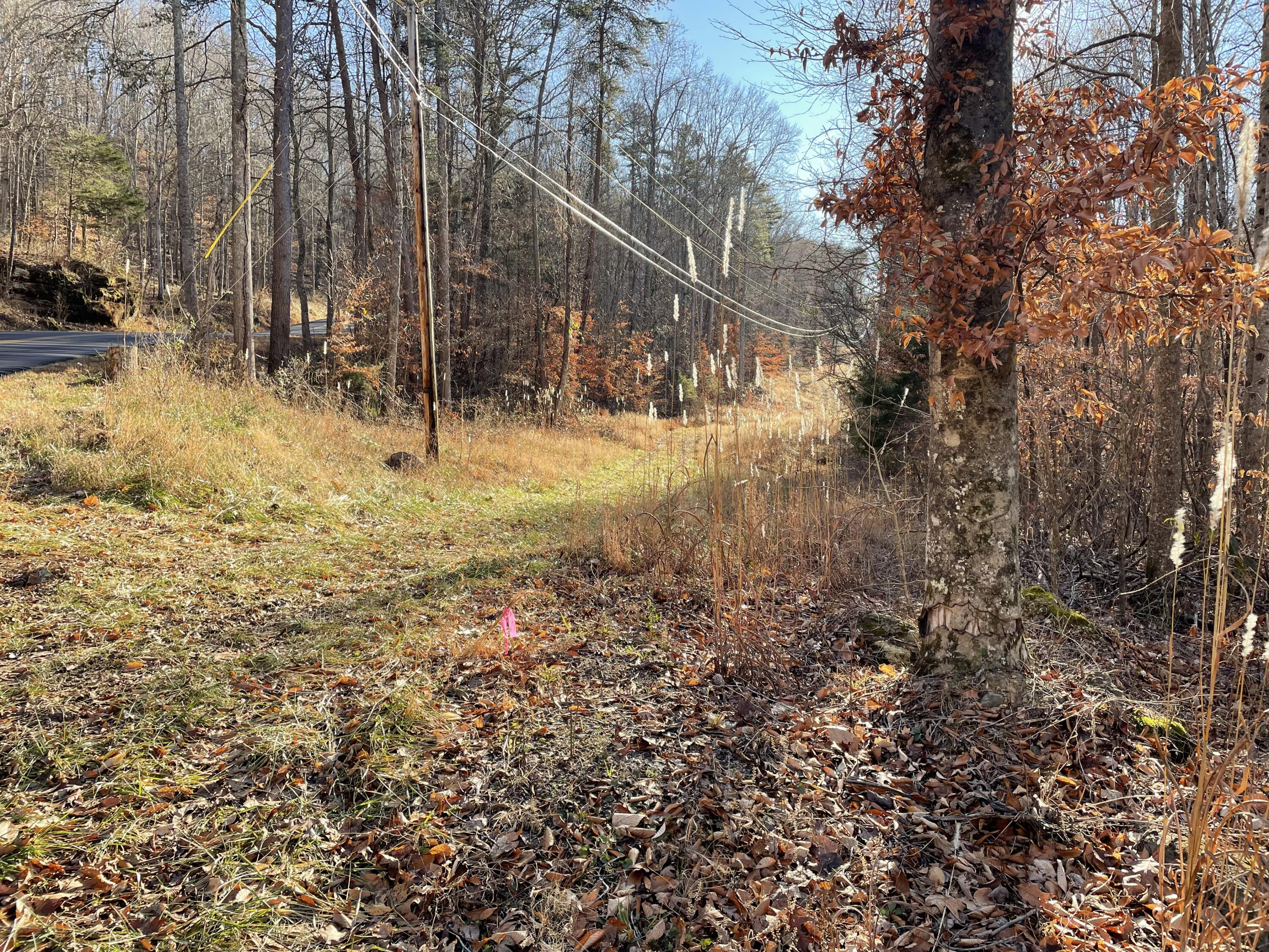 1901 Dixie Bend Road Property Photo 2