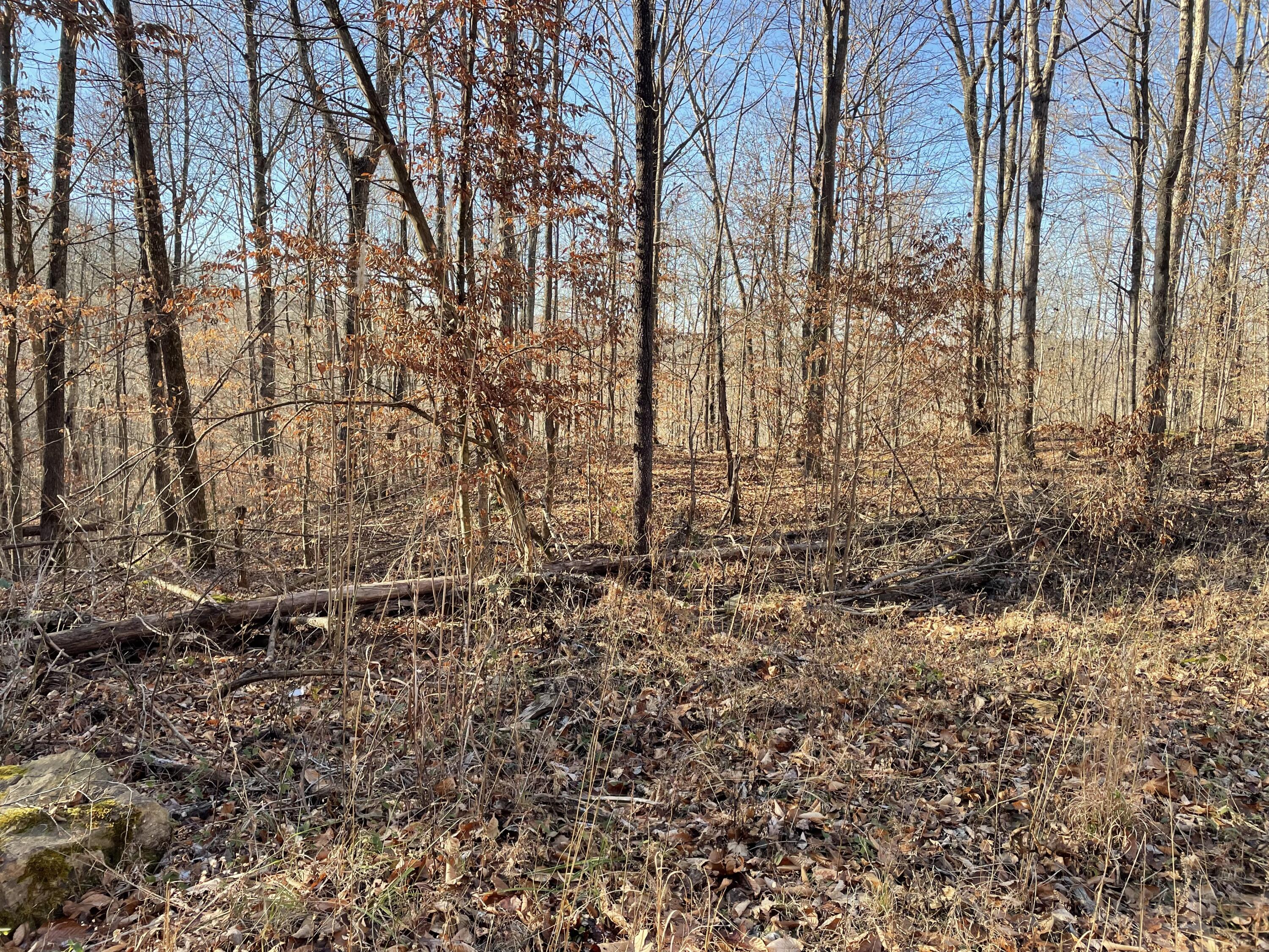 1901 Dixie Bend Road Property Photo 3