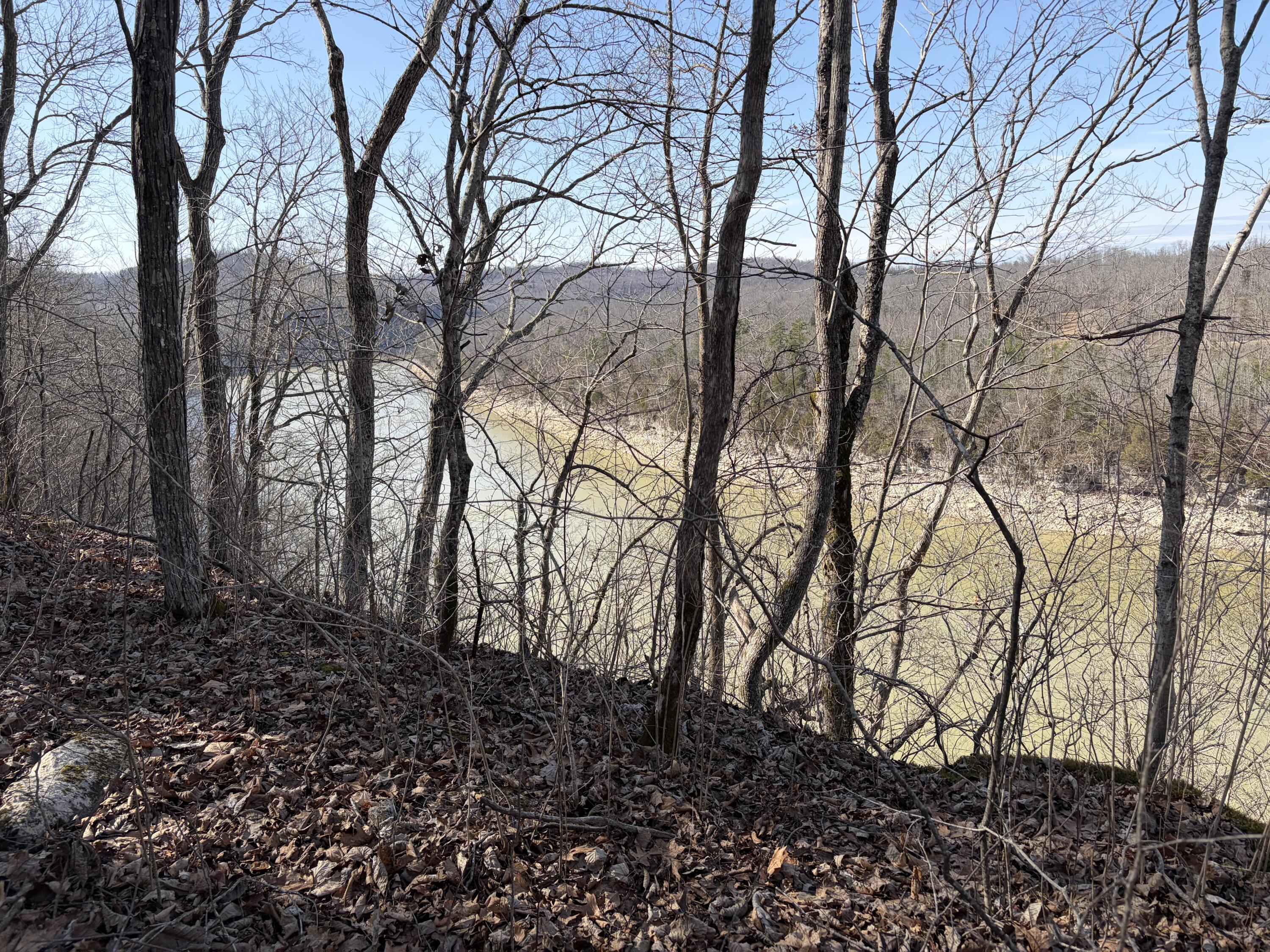 1901 Dixie Bend Road Property Photo 9