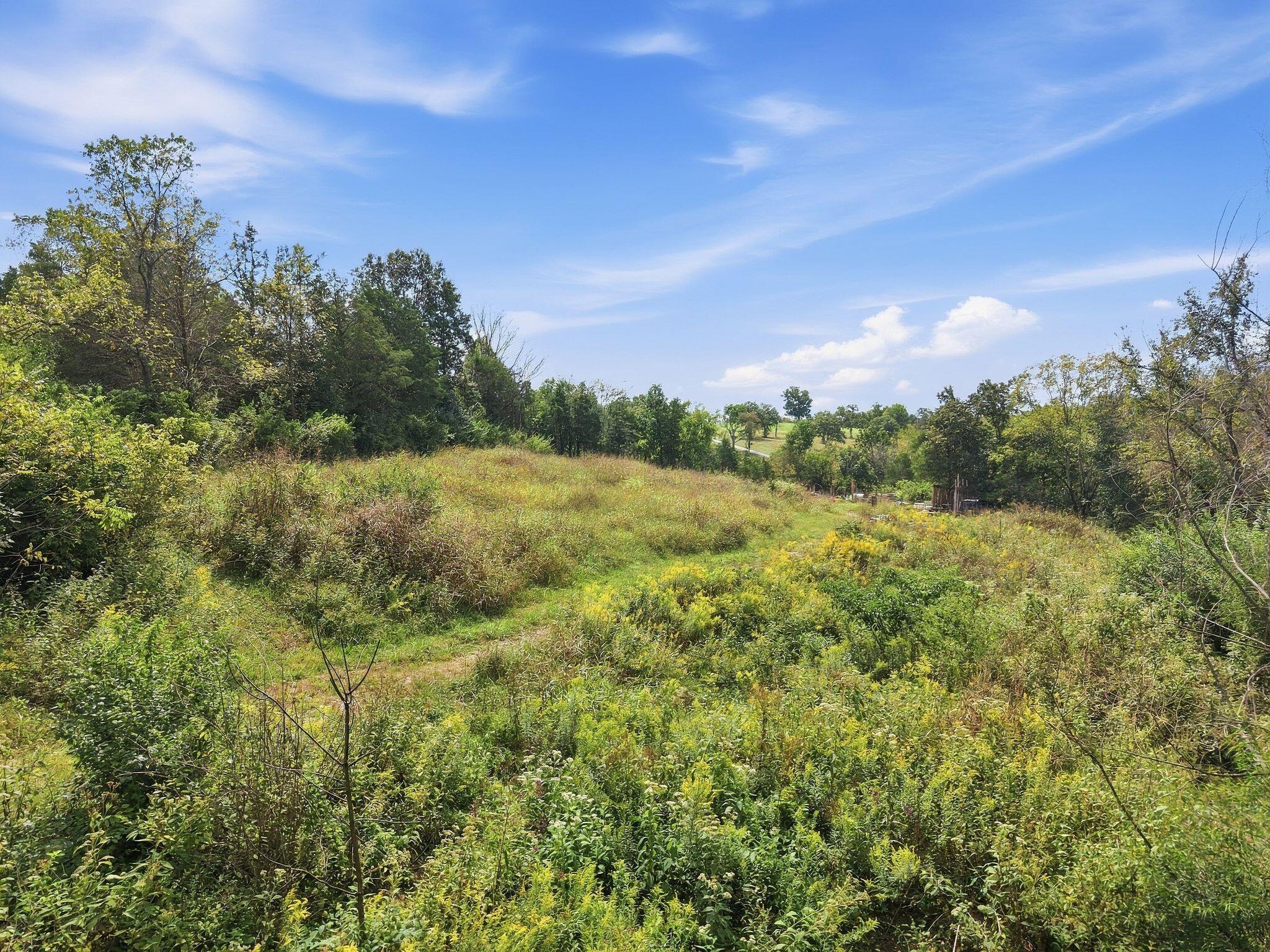 1123 Gilberts Creek Road Property Photo 8