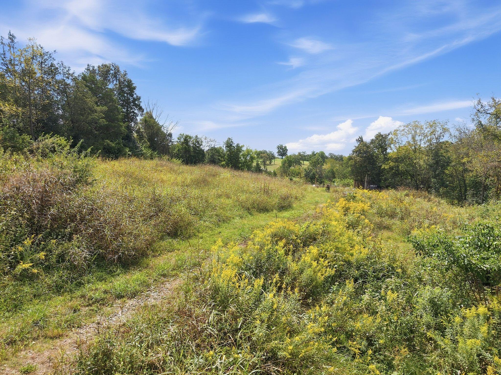 1123 Gilberts Creek Road Property Photo 10