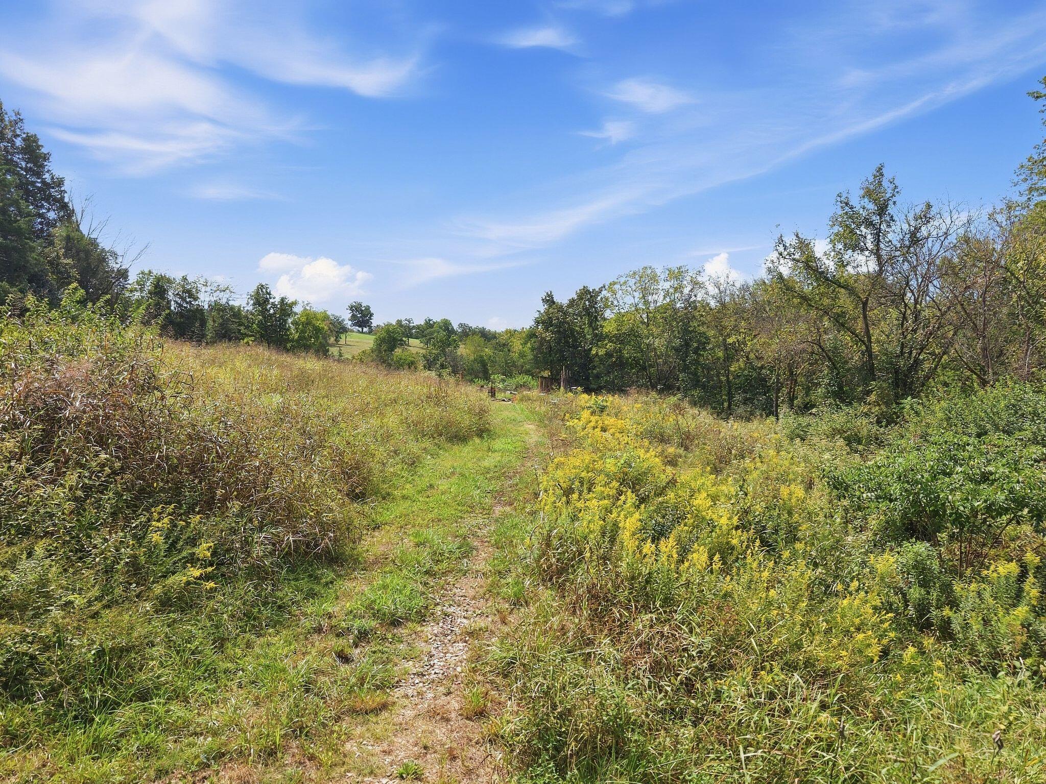 1123 Gilberts Creek Road Property Photo 11