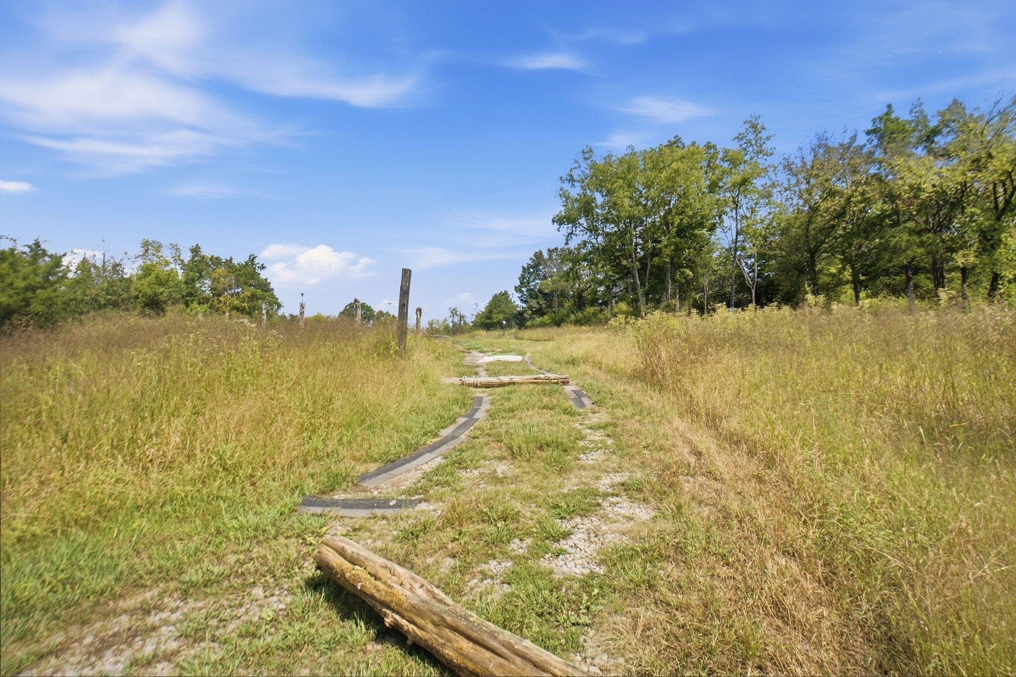 1123 Gilberts Creek Road Property Photo 12