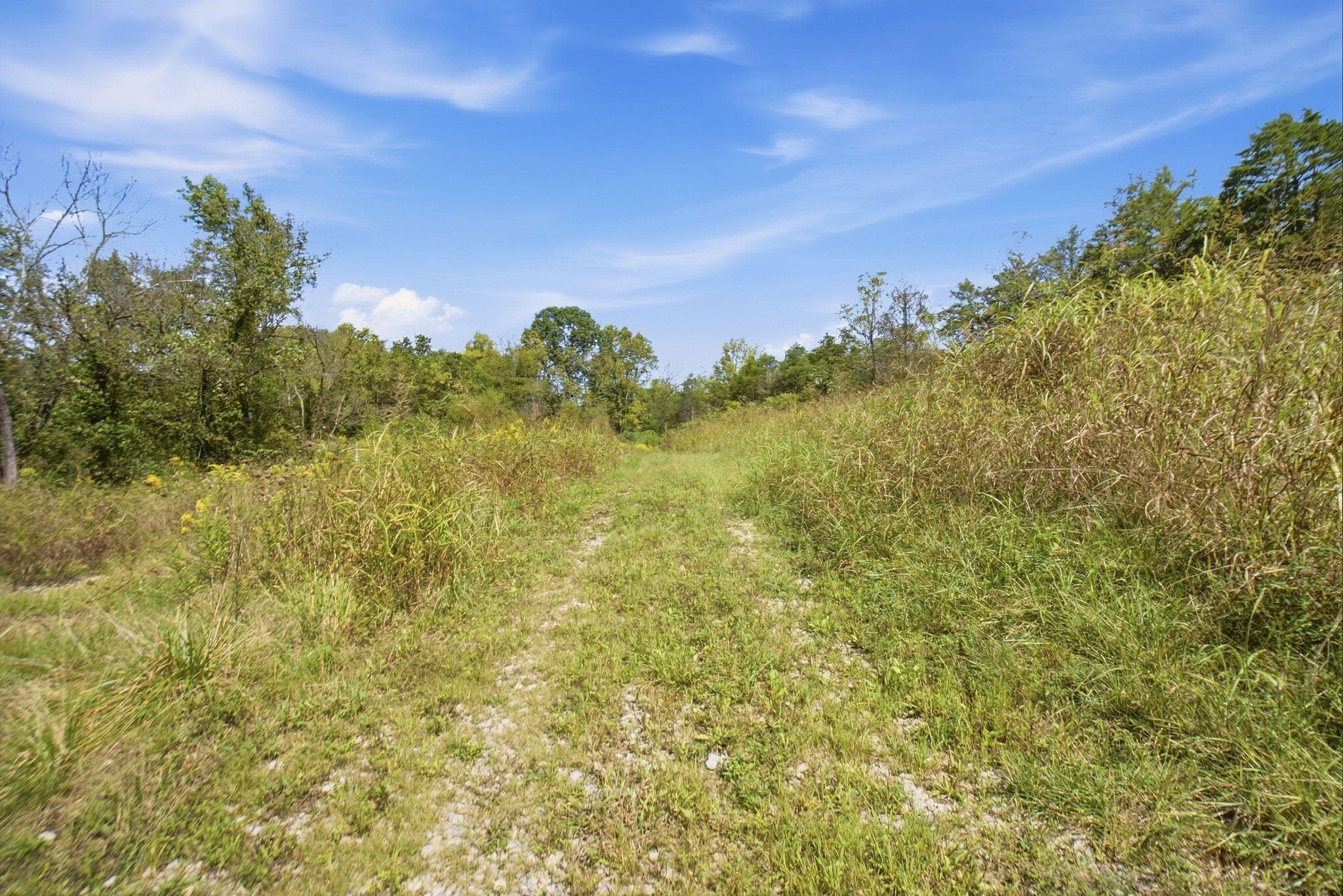 1123 Gilberts Creek Road Property Photo 14