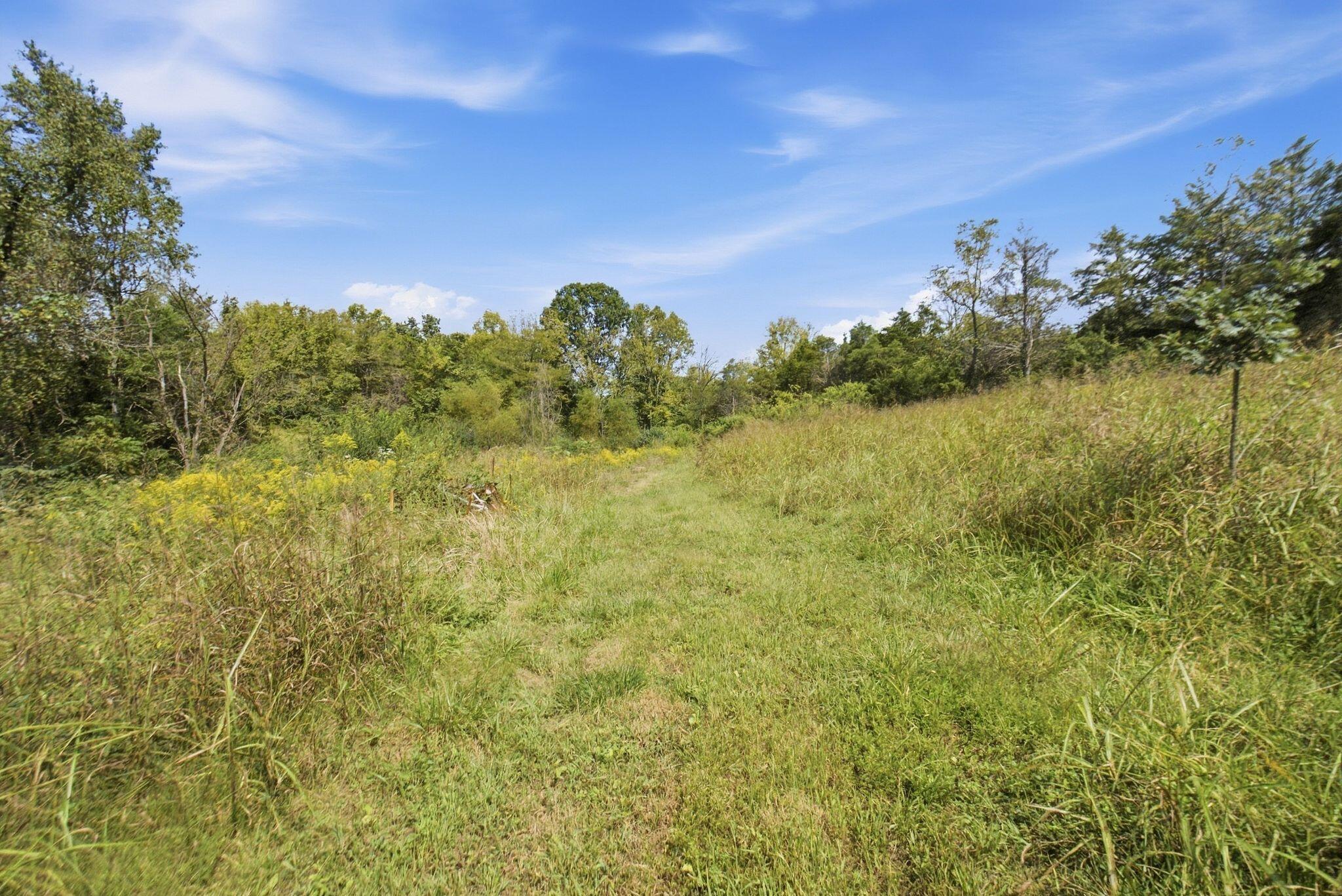 1123 Gilberts Creek Road Property Photo 15