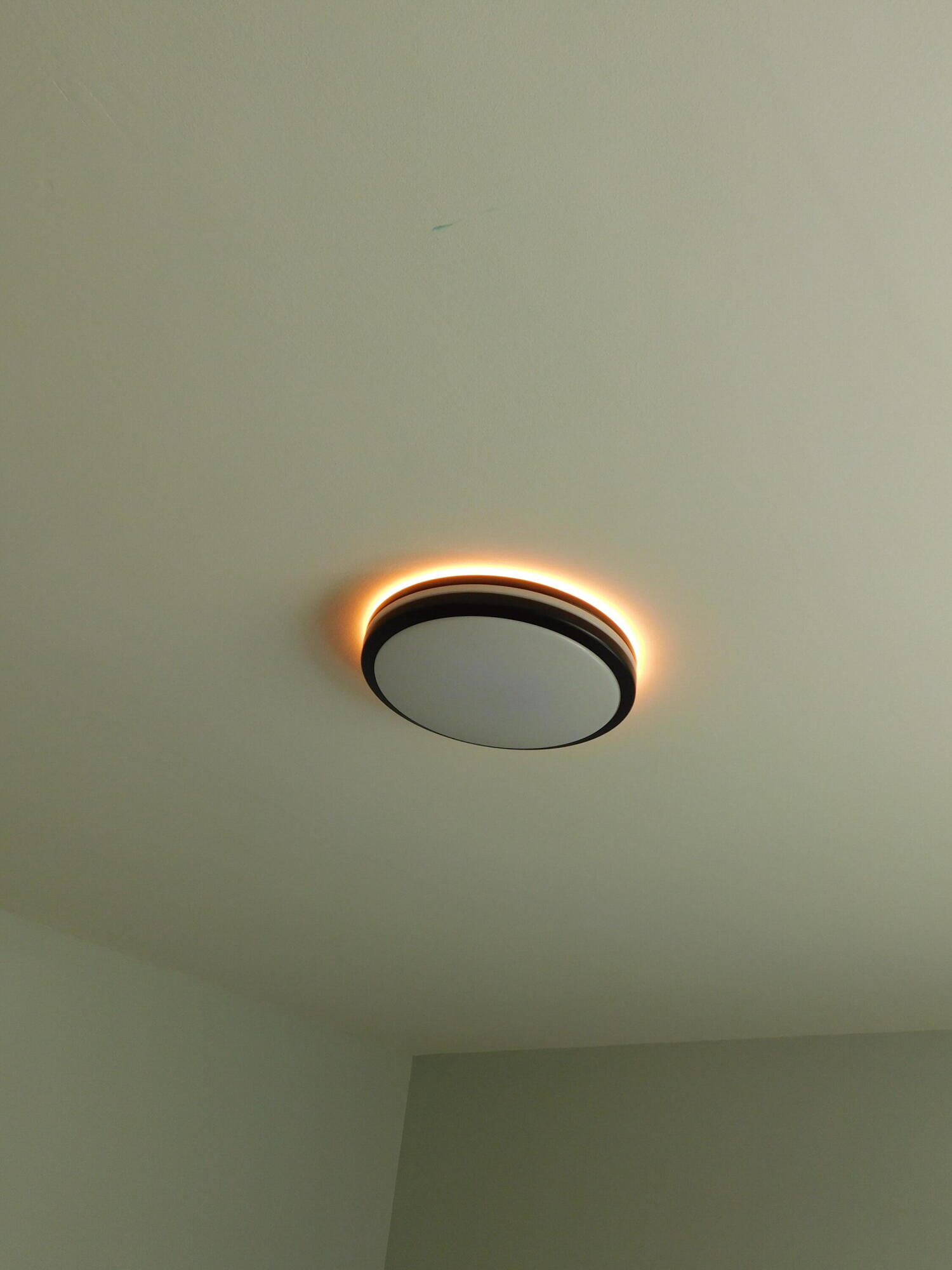 2885 Ky-215 Property Photo 38