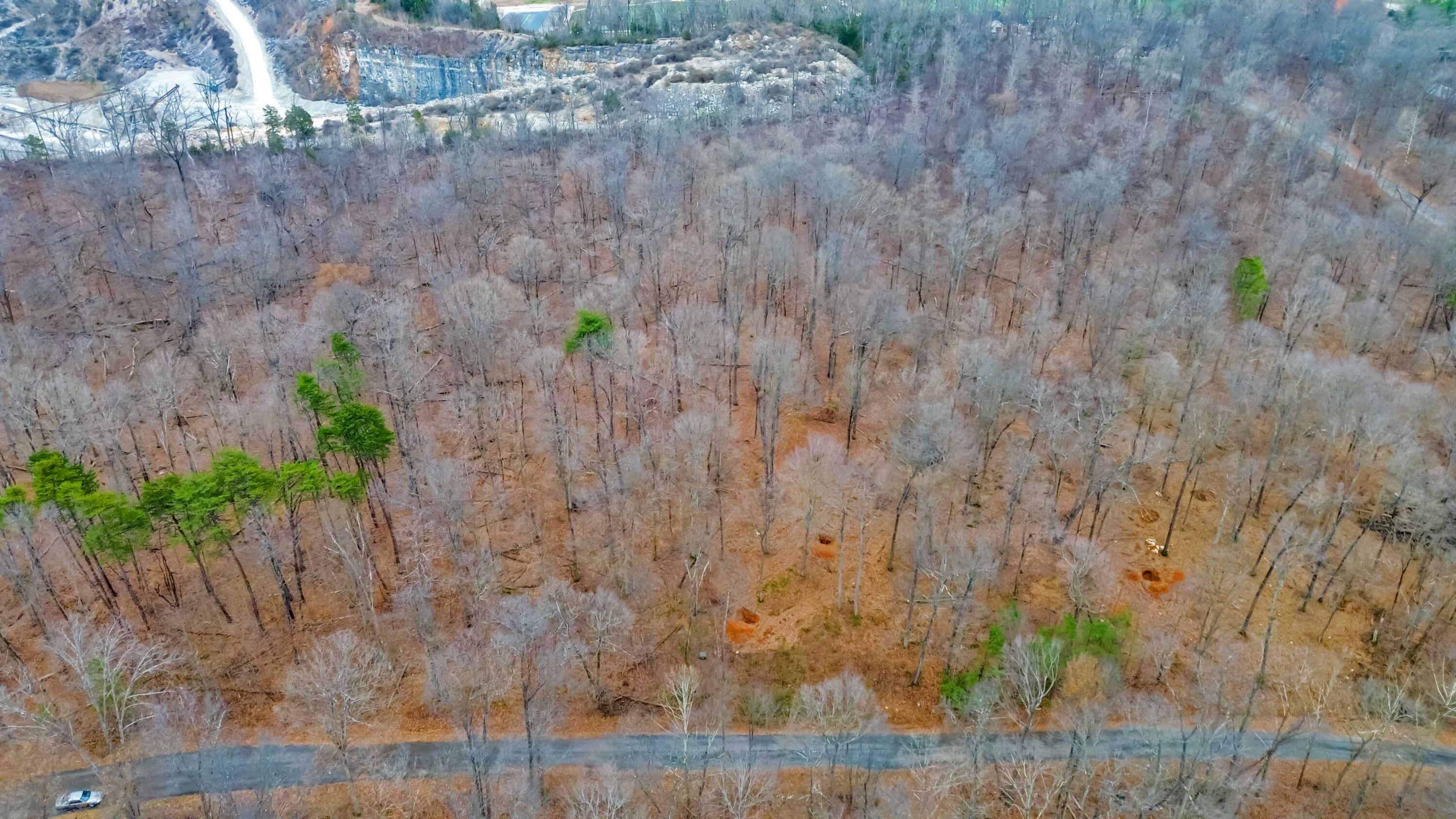 Lot 11 Hunter Lane Property Photo 4