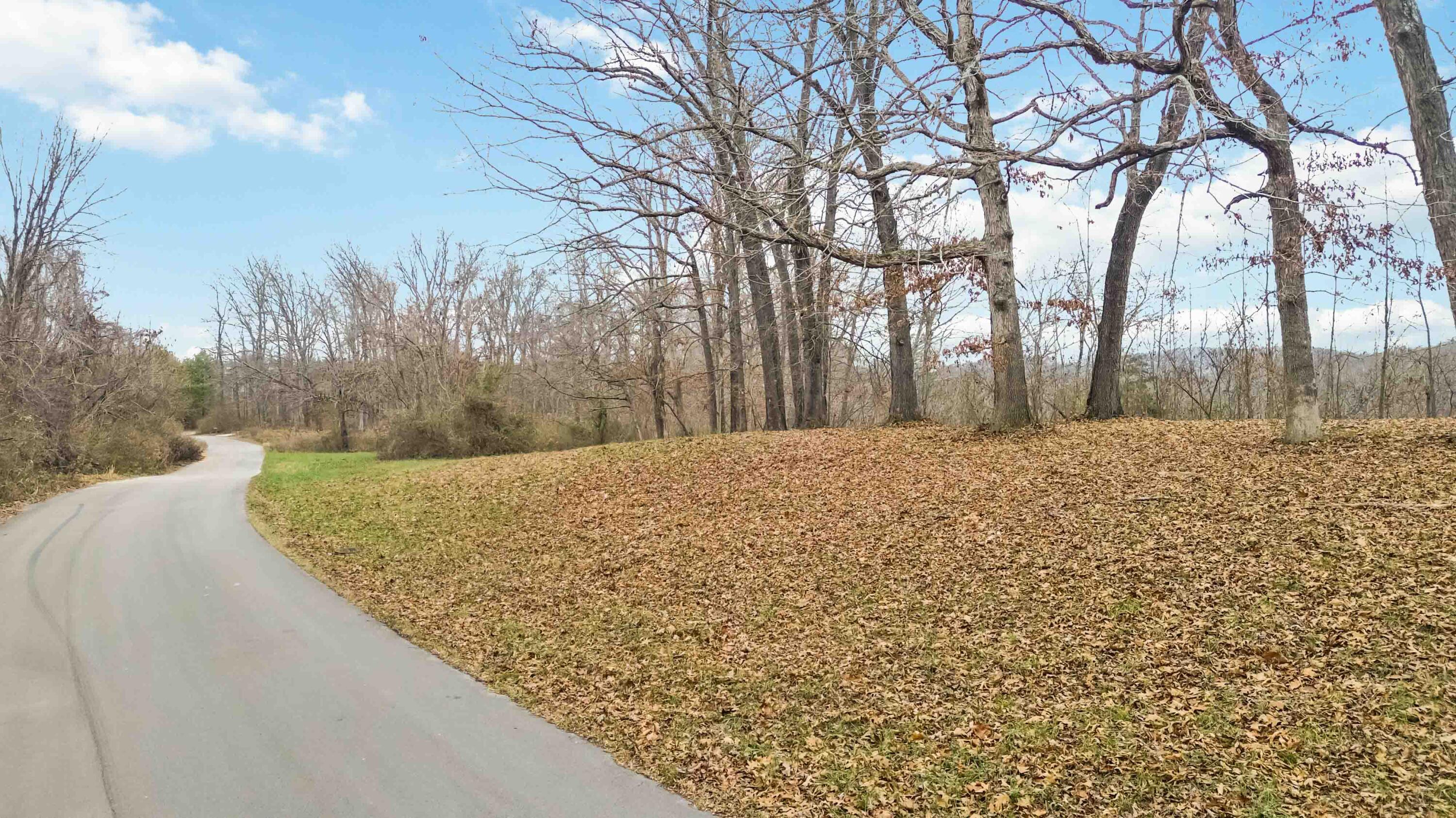 Lot 10 Fountain Way Property Photo 8