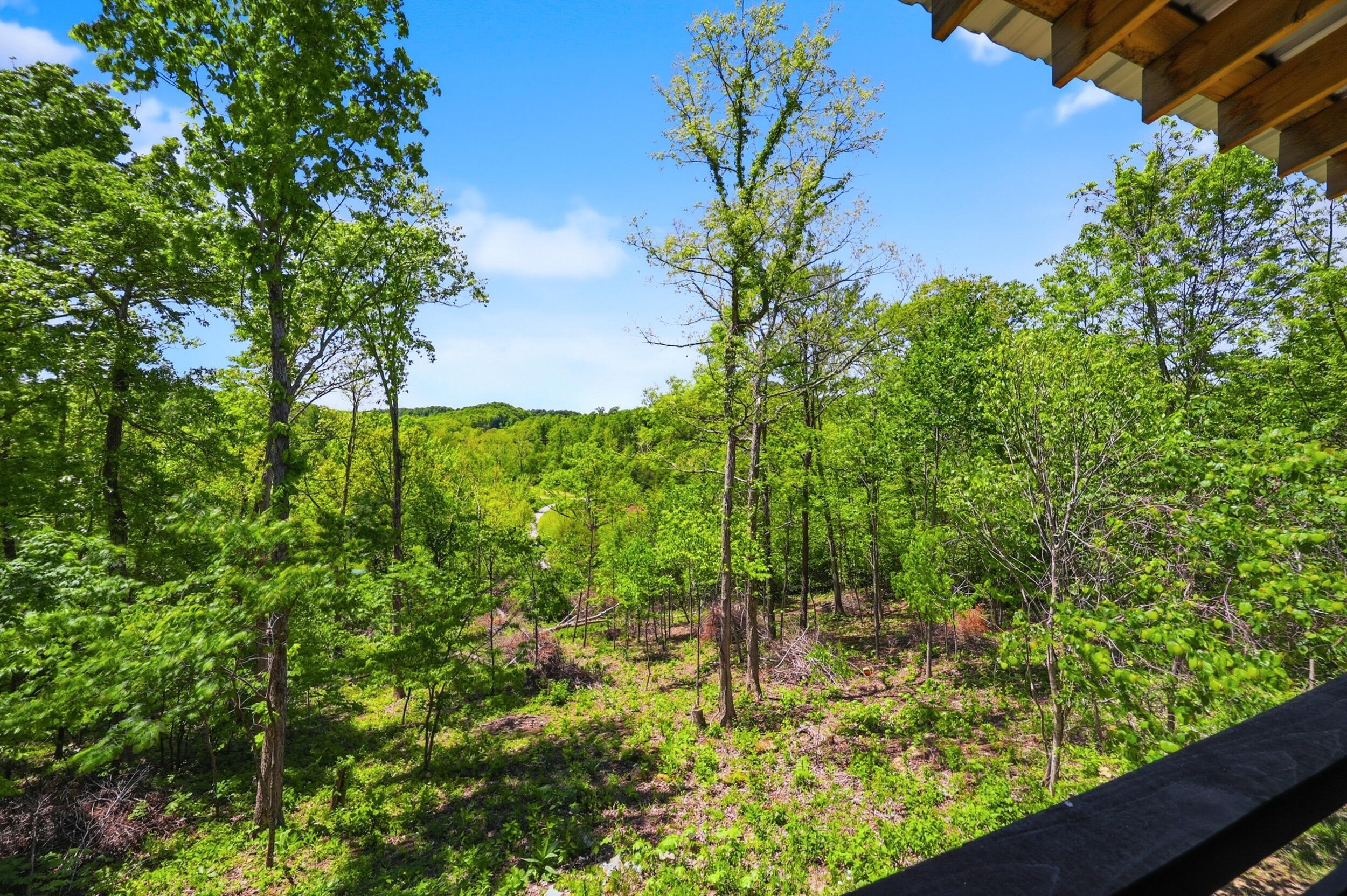1237 Burton Williams Road Property Photo 10