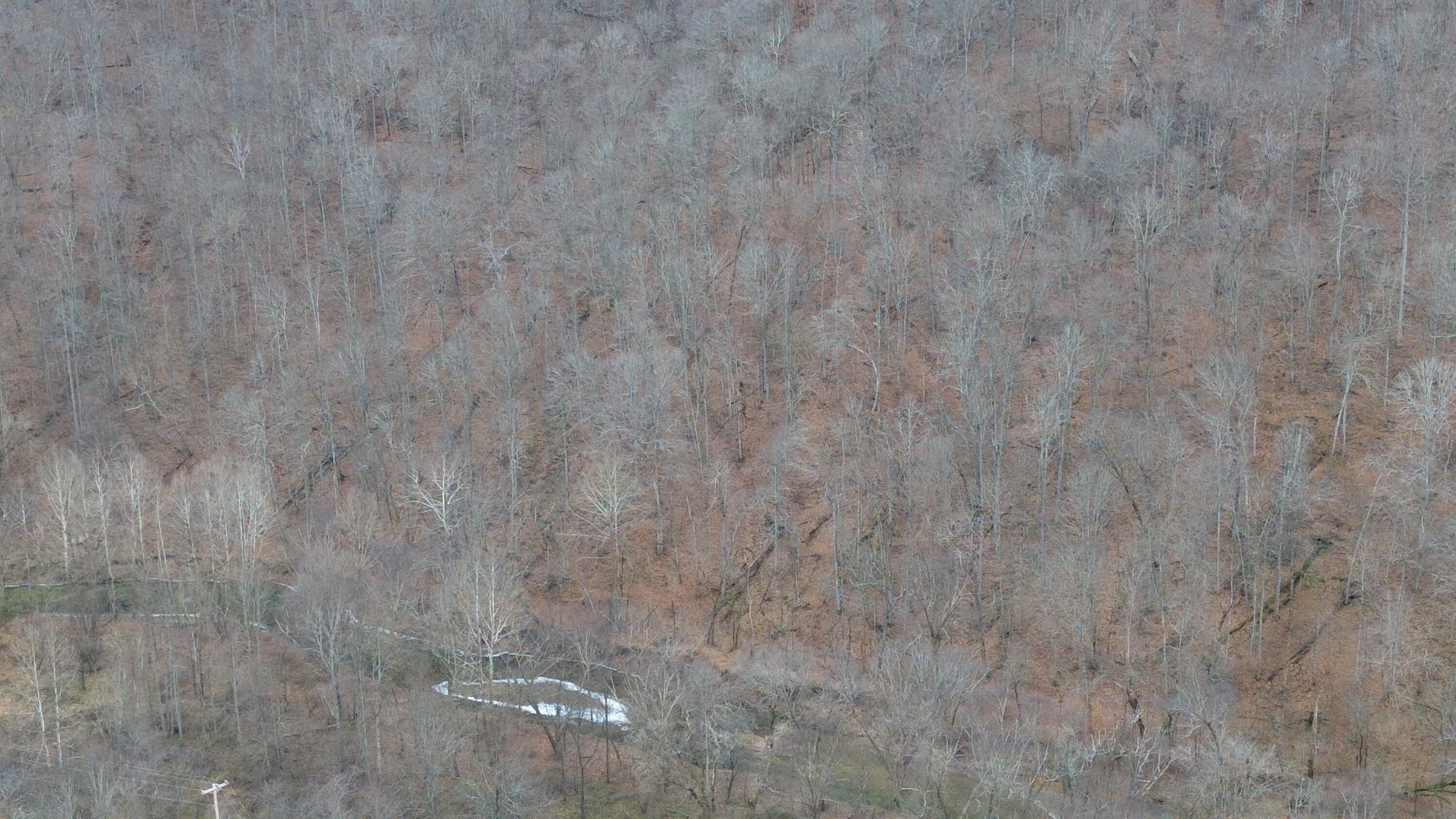 175a Improvement Branch Property Photo 2