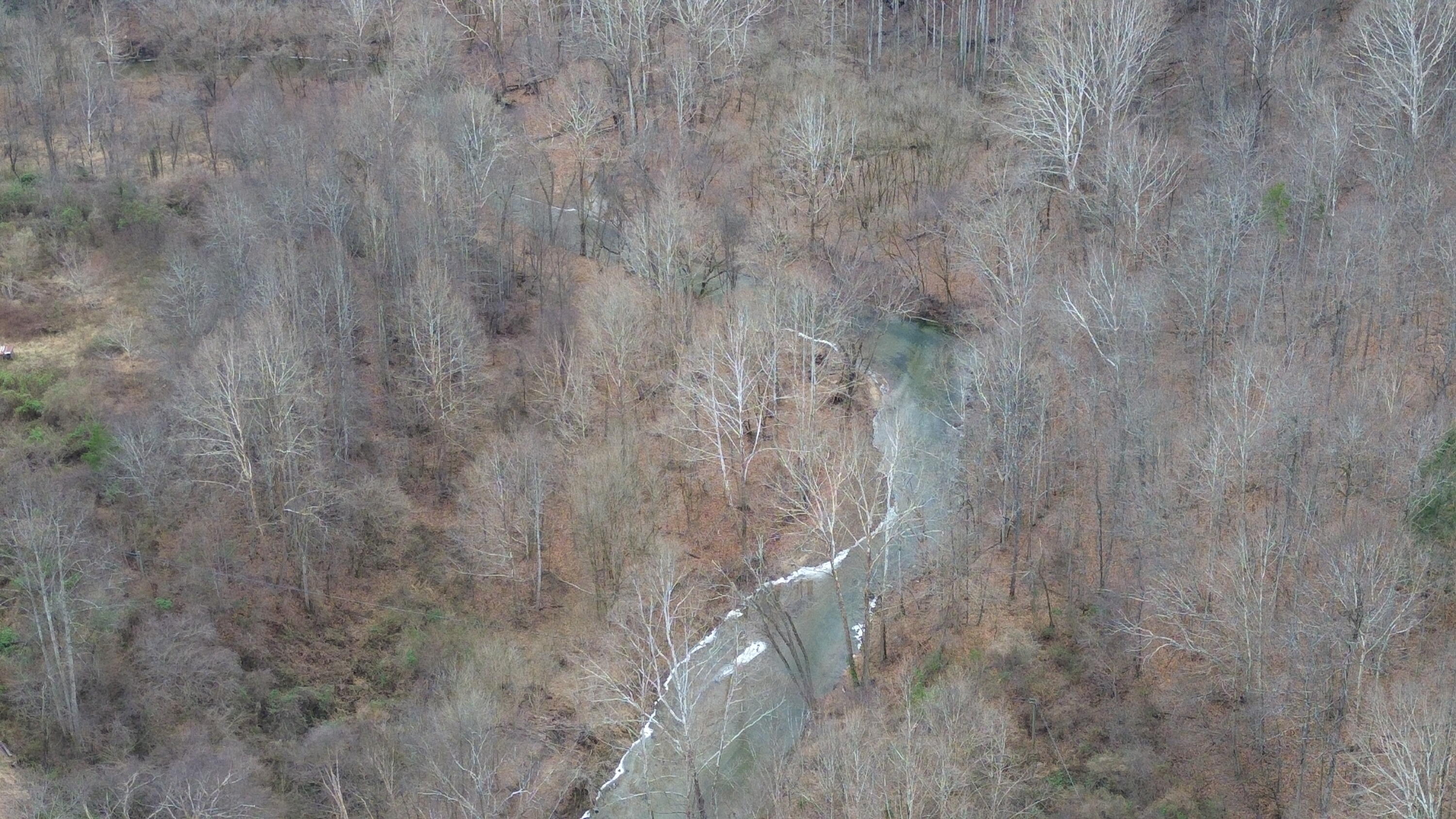 175a Improvement Branch Property Photo 4