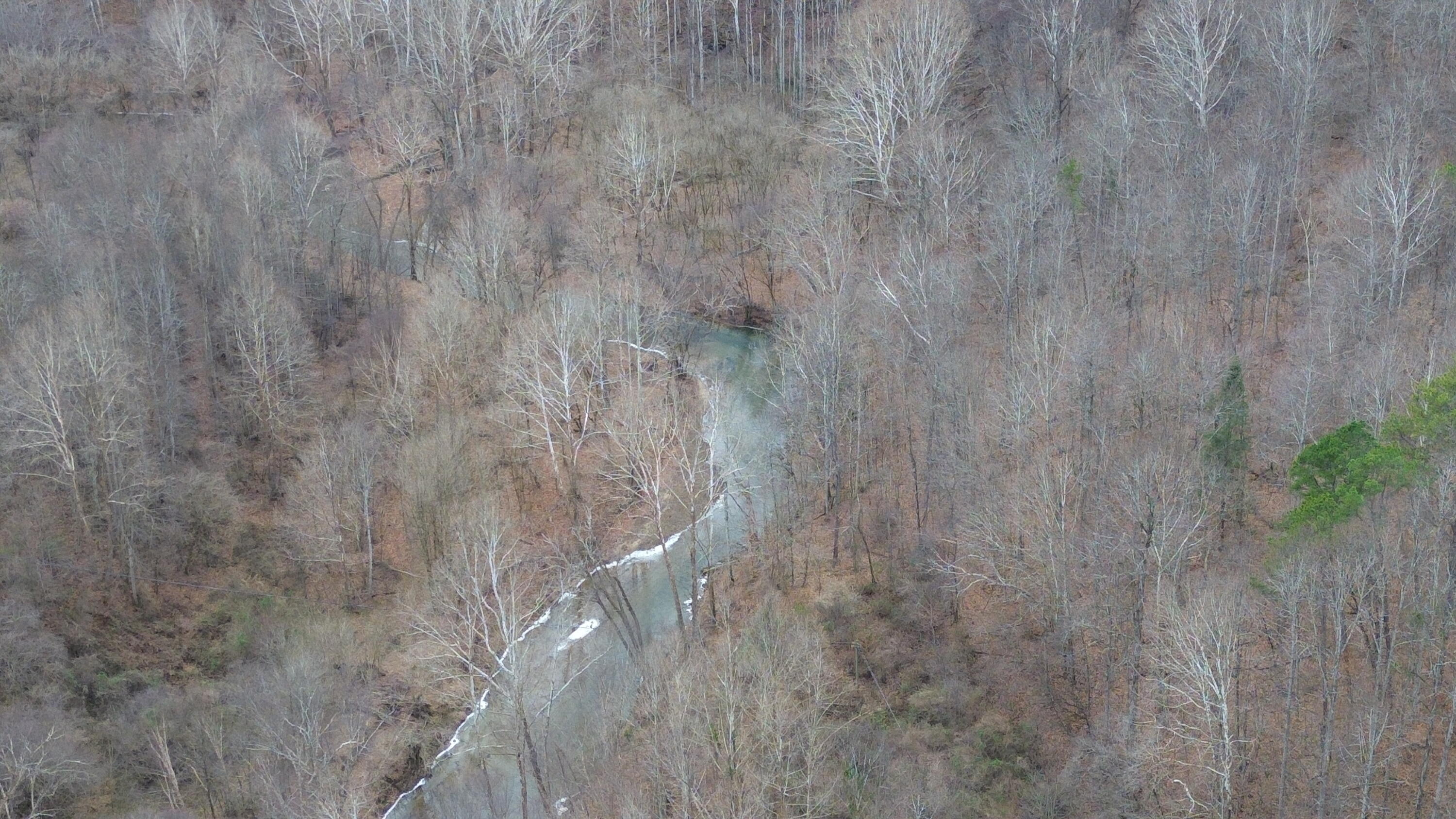 175a Improvement Branch Property Photo 5