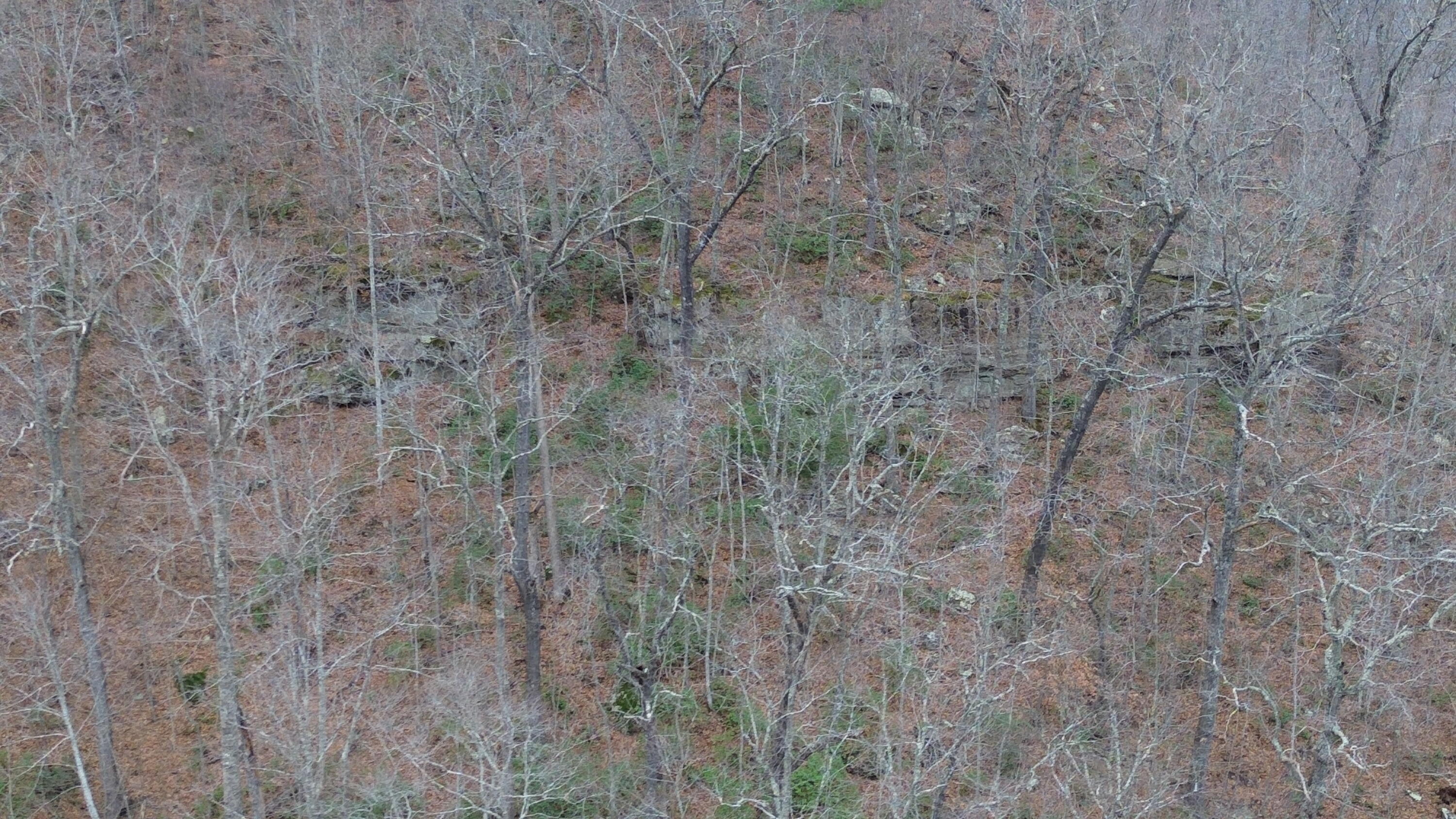 175a Improvement Branch Property Photo 7