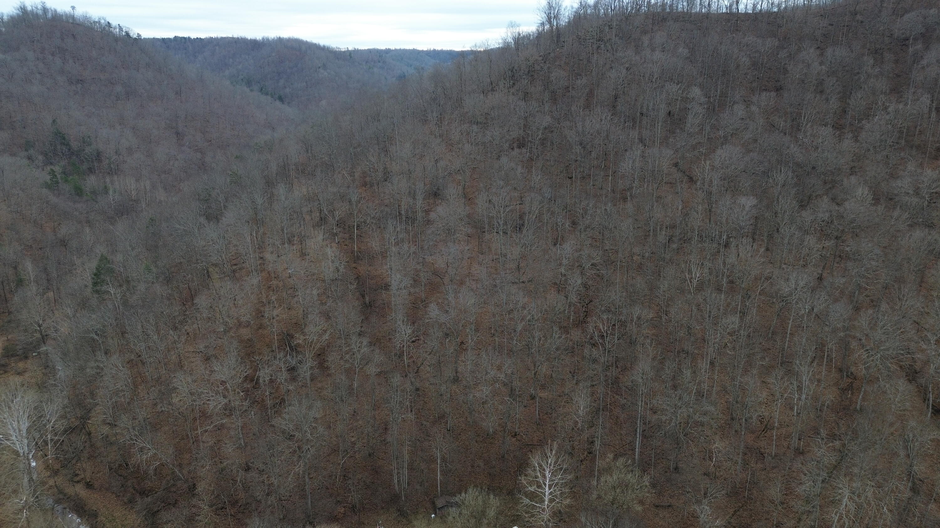 175a Improvement Branch Property Photo 9