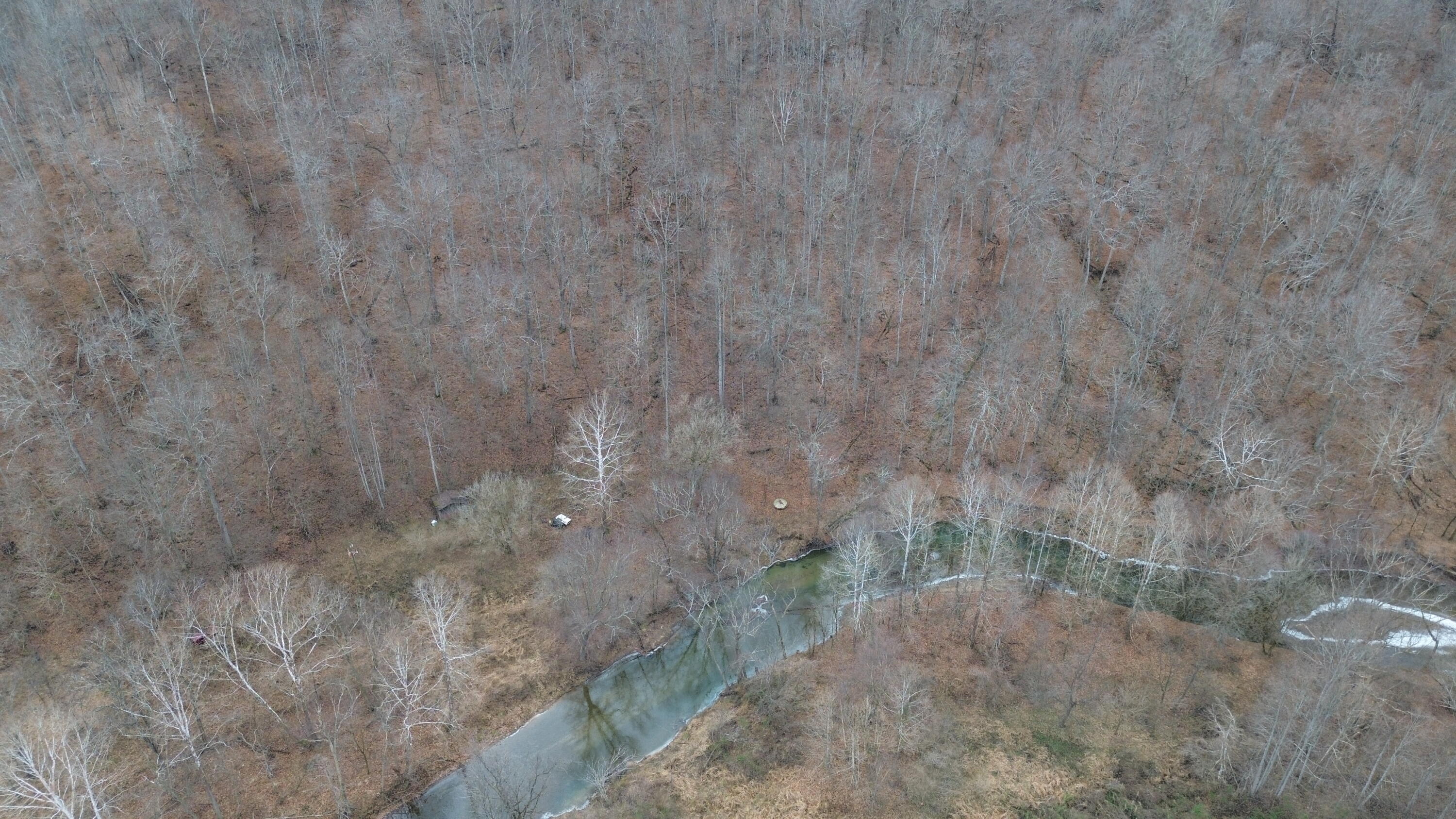 175a Improvement Branch Property Photo 10