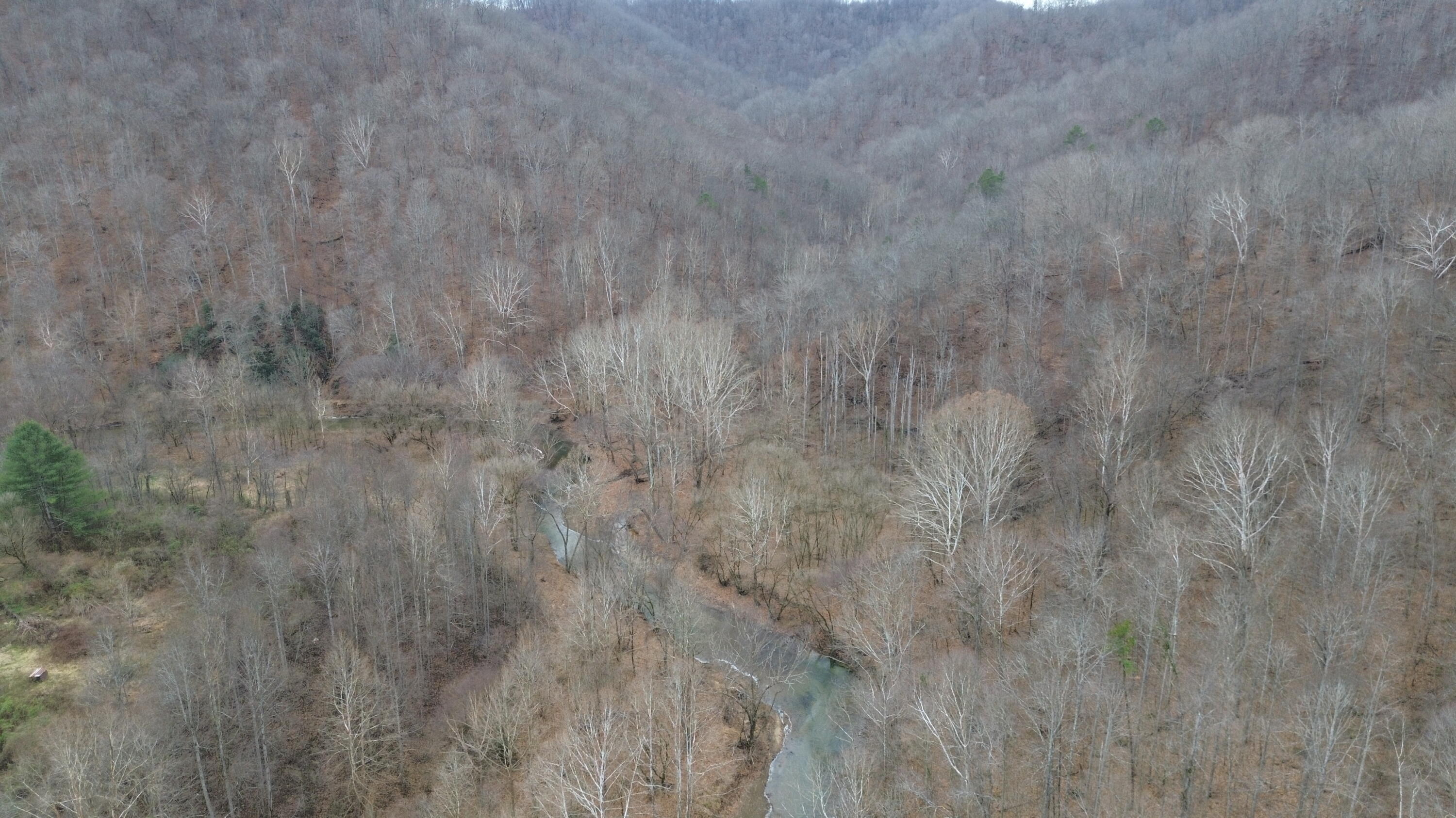 175a Improvement Branch Property Photo 11