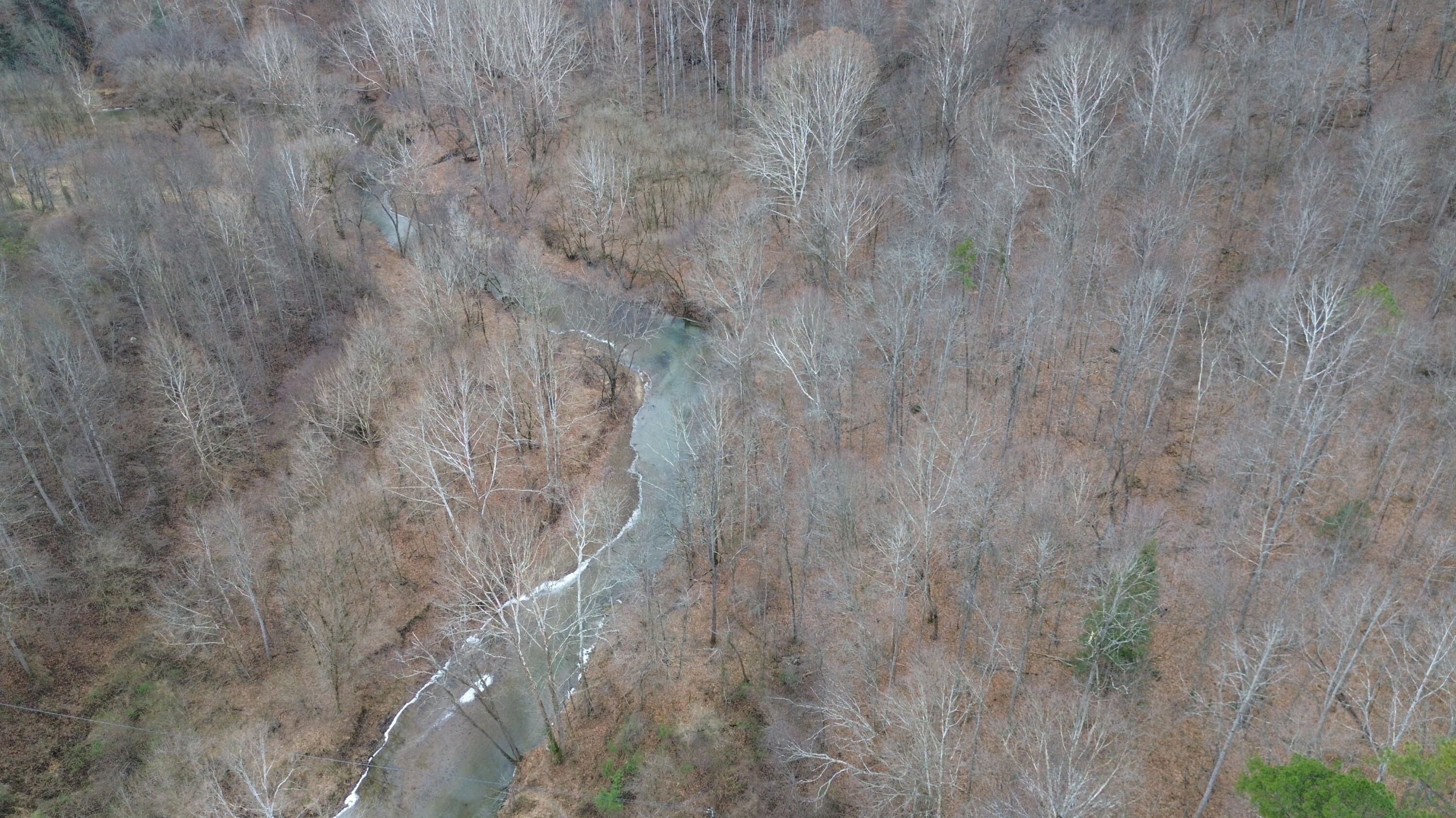 175a Improvement Branch Property Photo 13