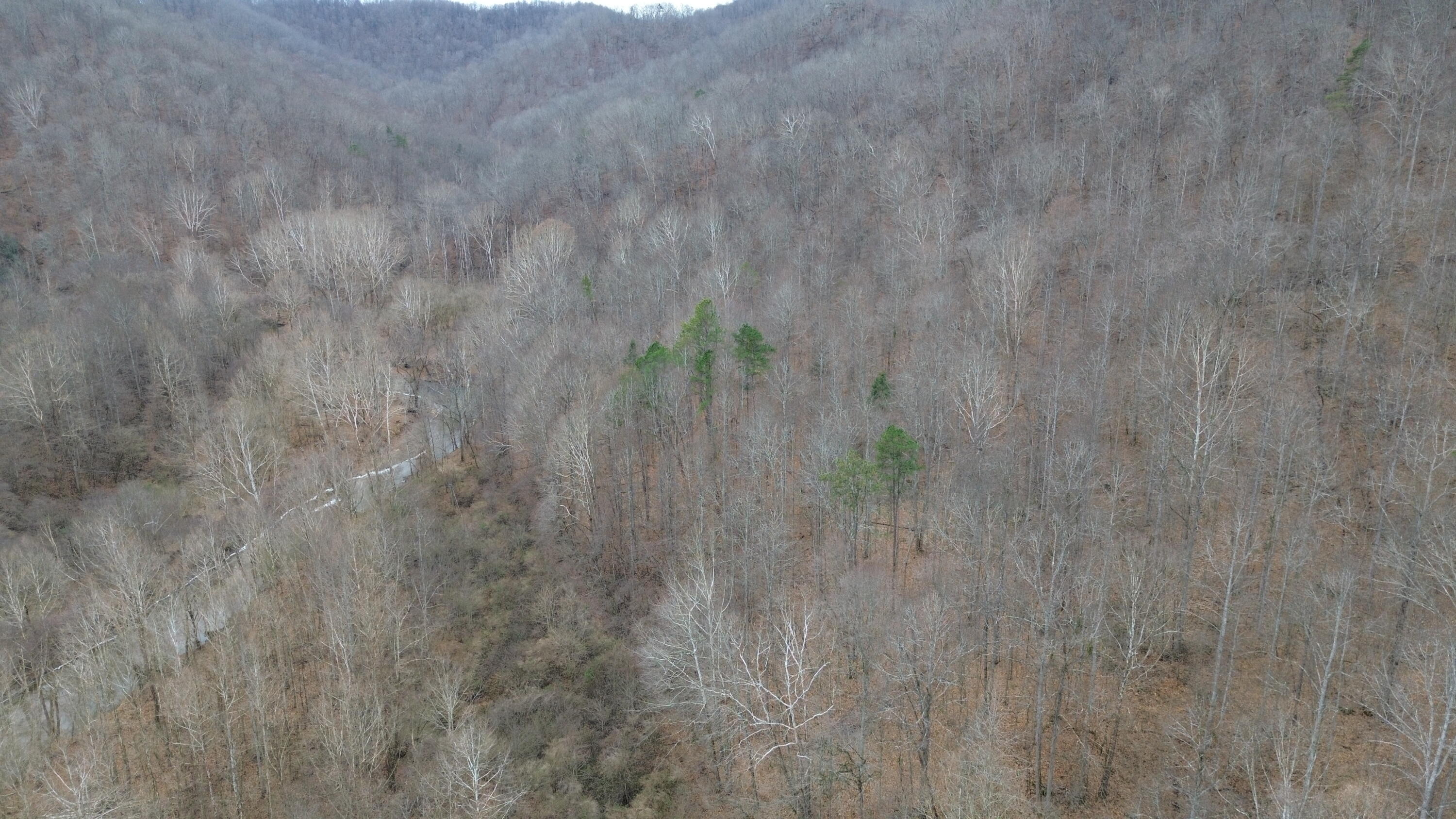 175a Improvement Branch Property Photo 15