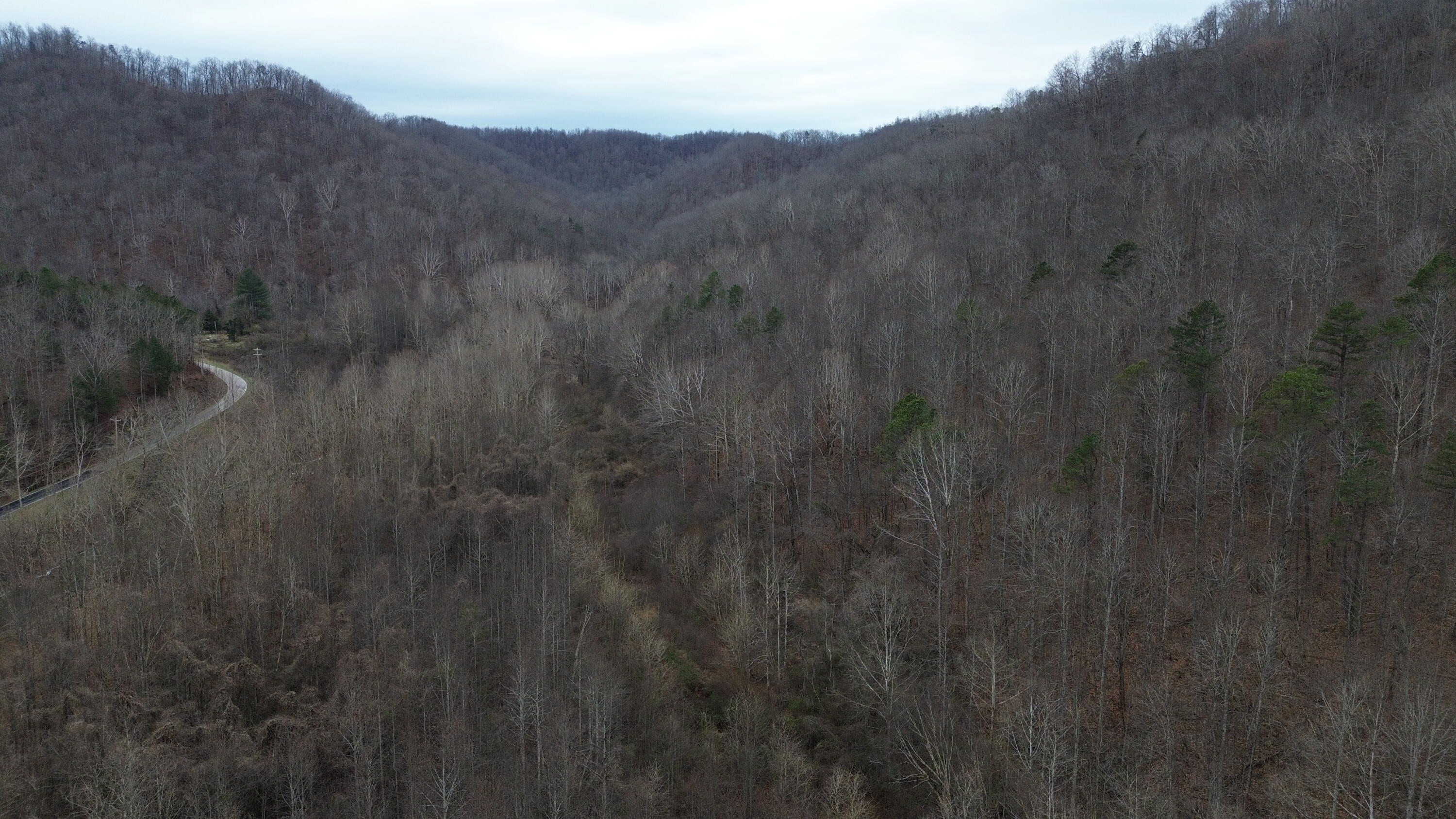 175a Improvement Branch Property Photo 18
