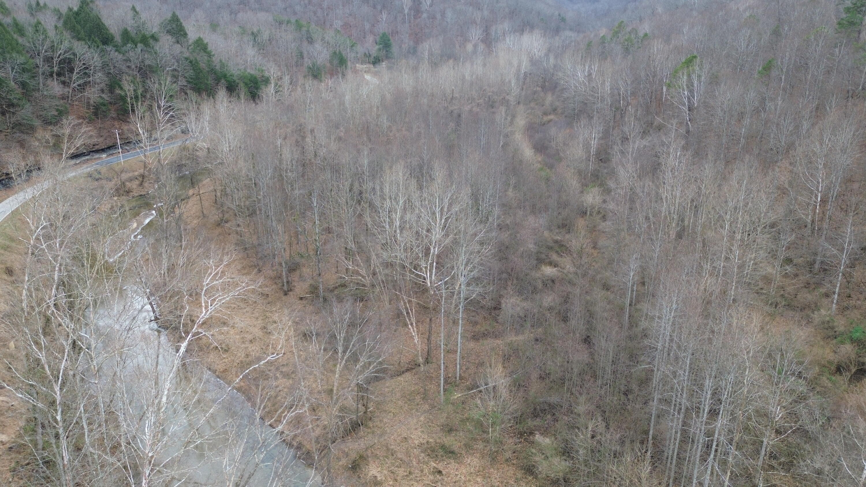 175a Improvement Branch Property Photo 19