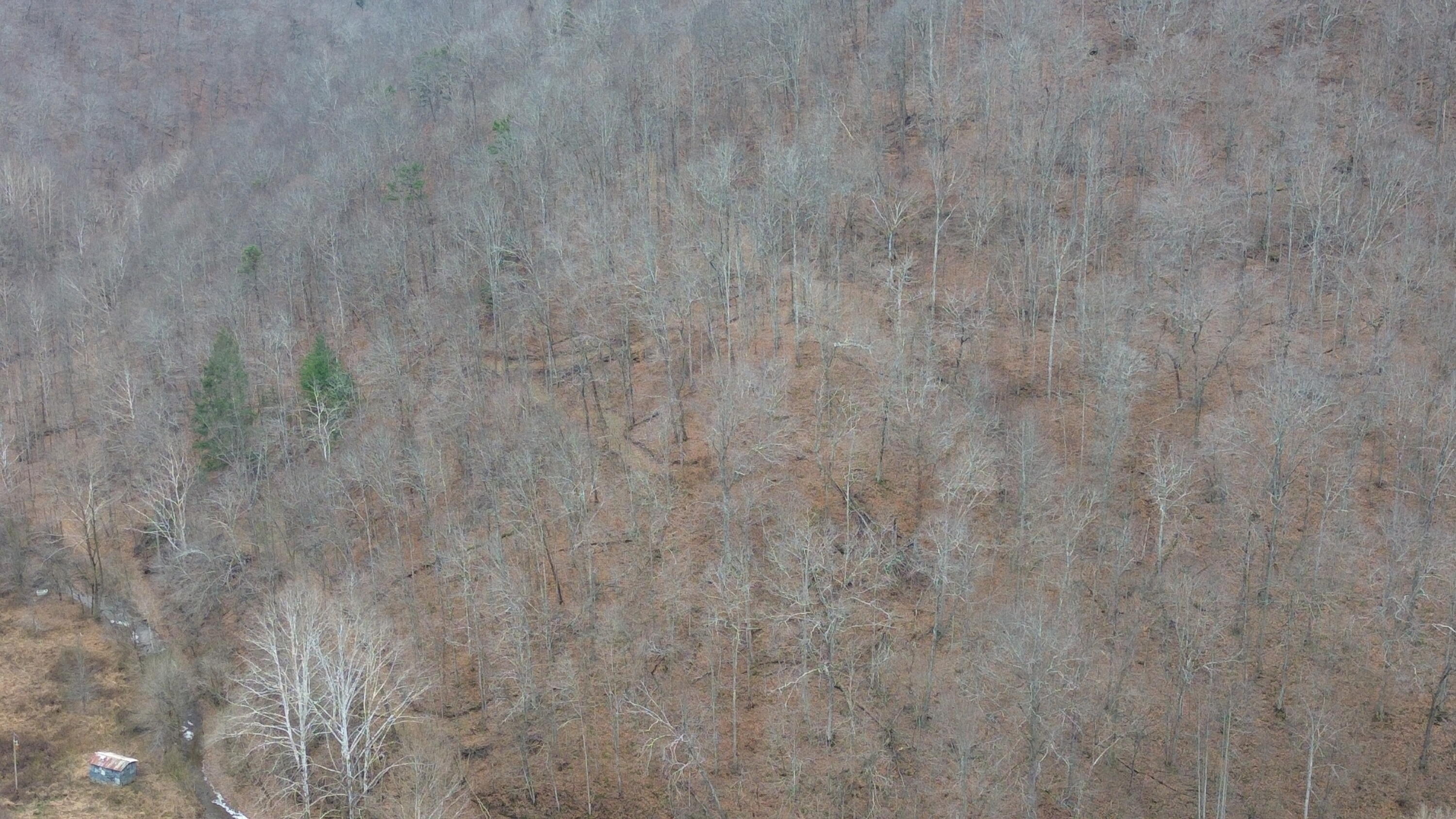 175a Improvement Branch Property Photo 20