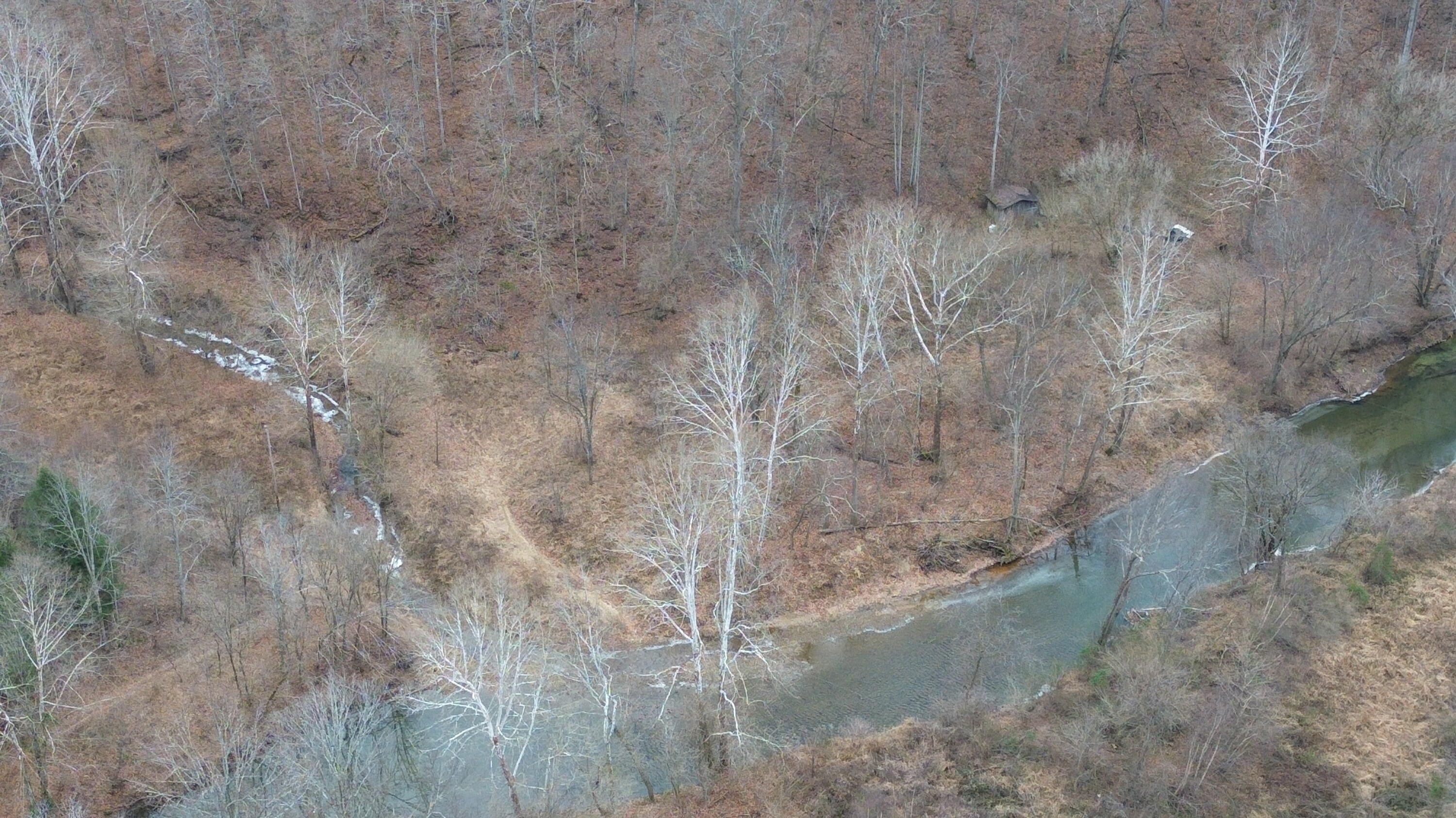 175a Improvement Branch Property Photo 21