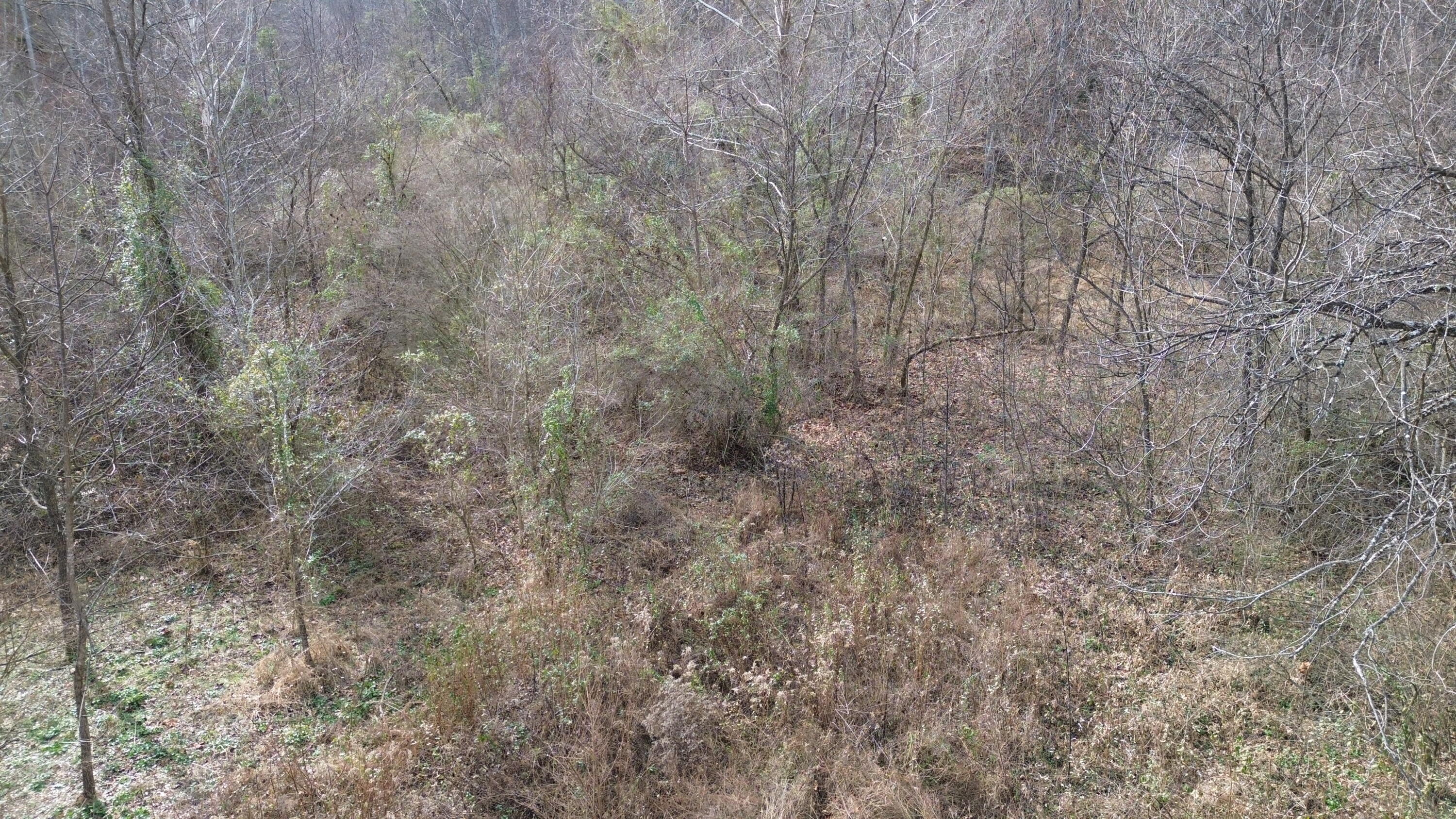 237a Meatscaffold Rd Property Photo 1