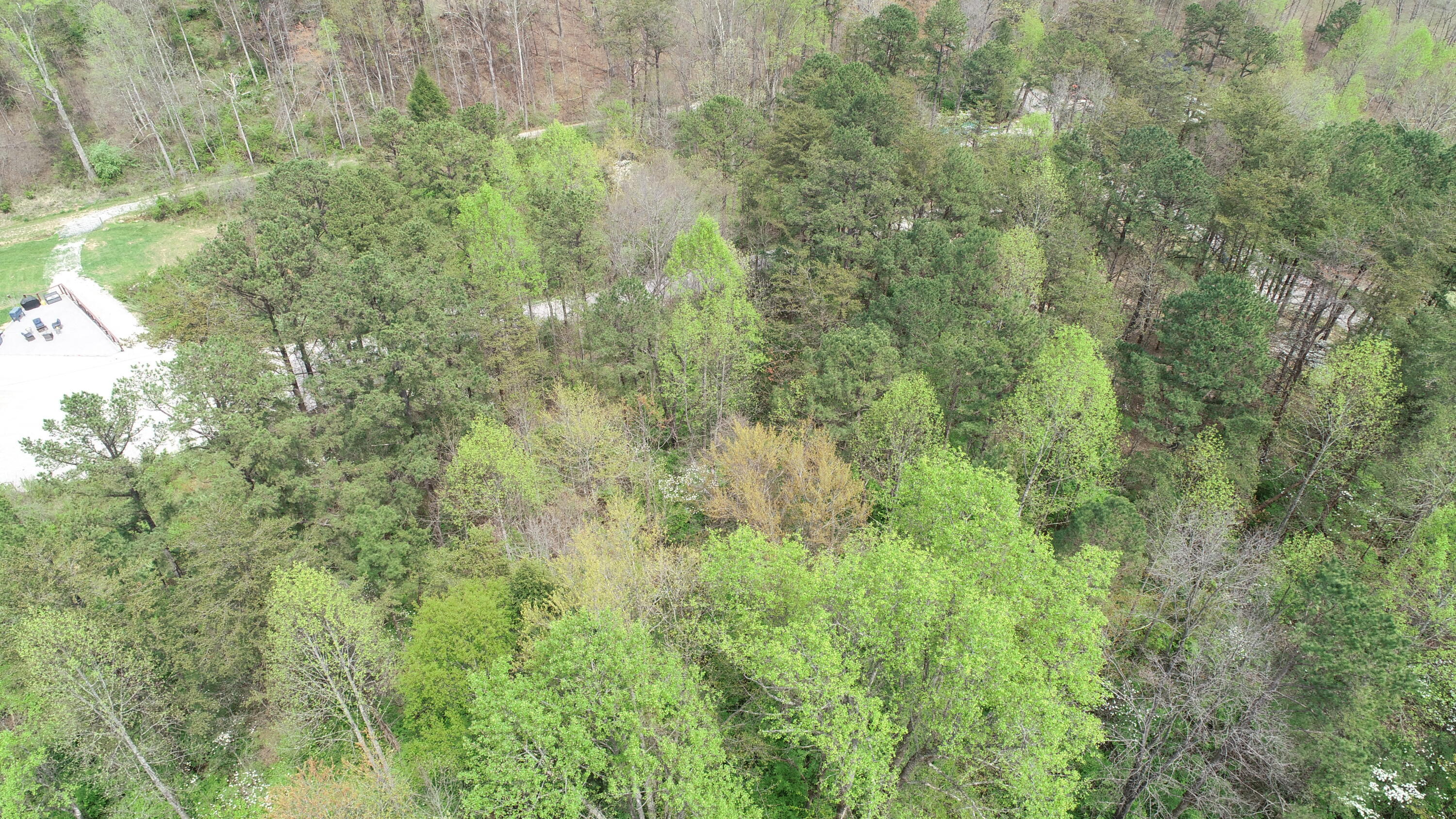 9999 Whitley Trails Property Photo 5