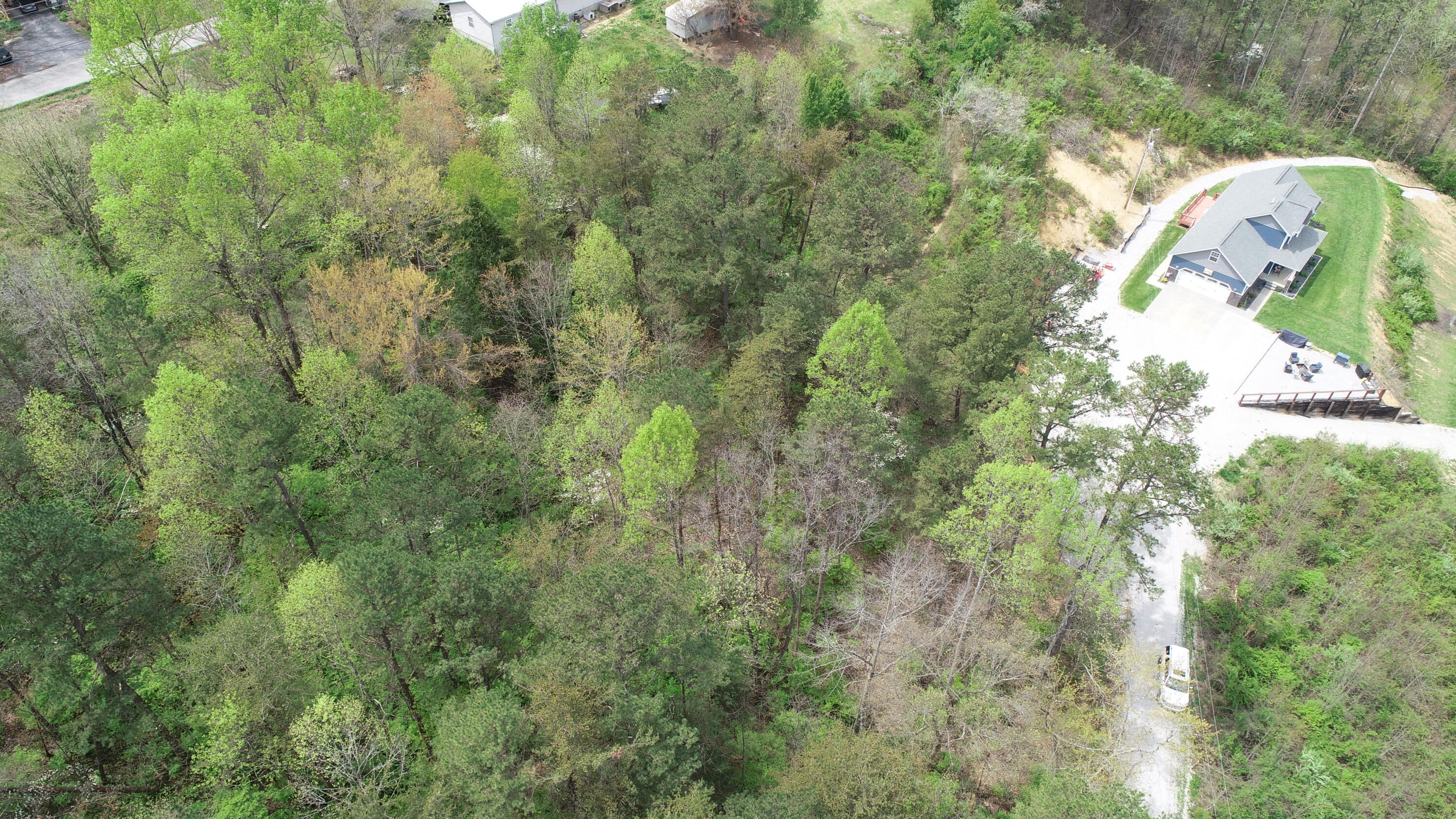 9999 Whitley Trails Property Photo 7